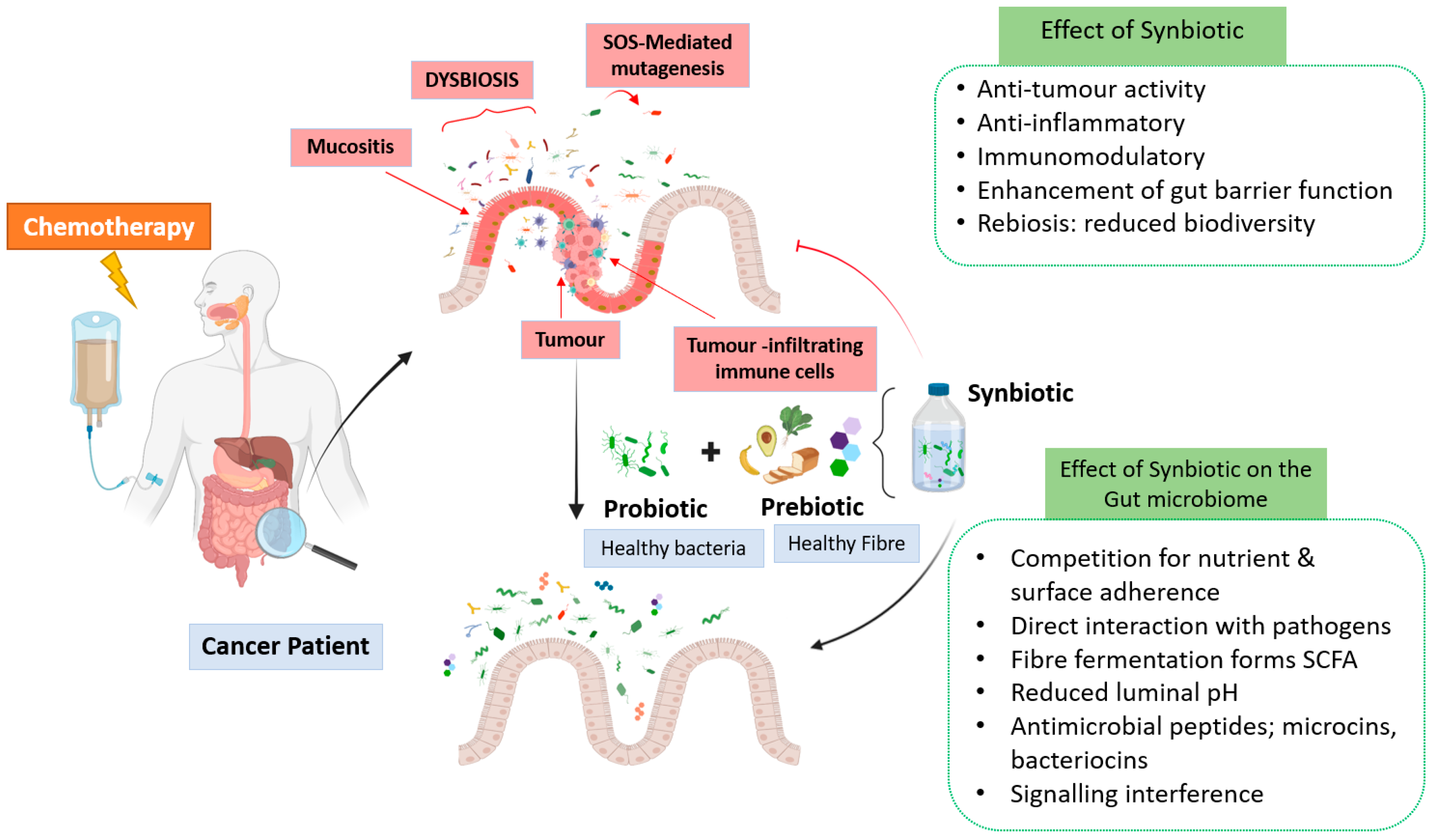 Nutrients 15 01759 g001