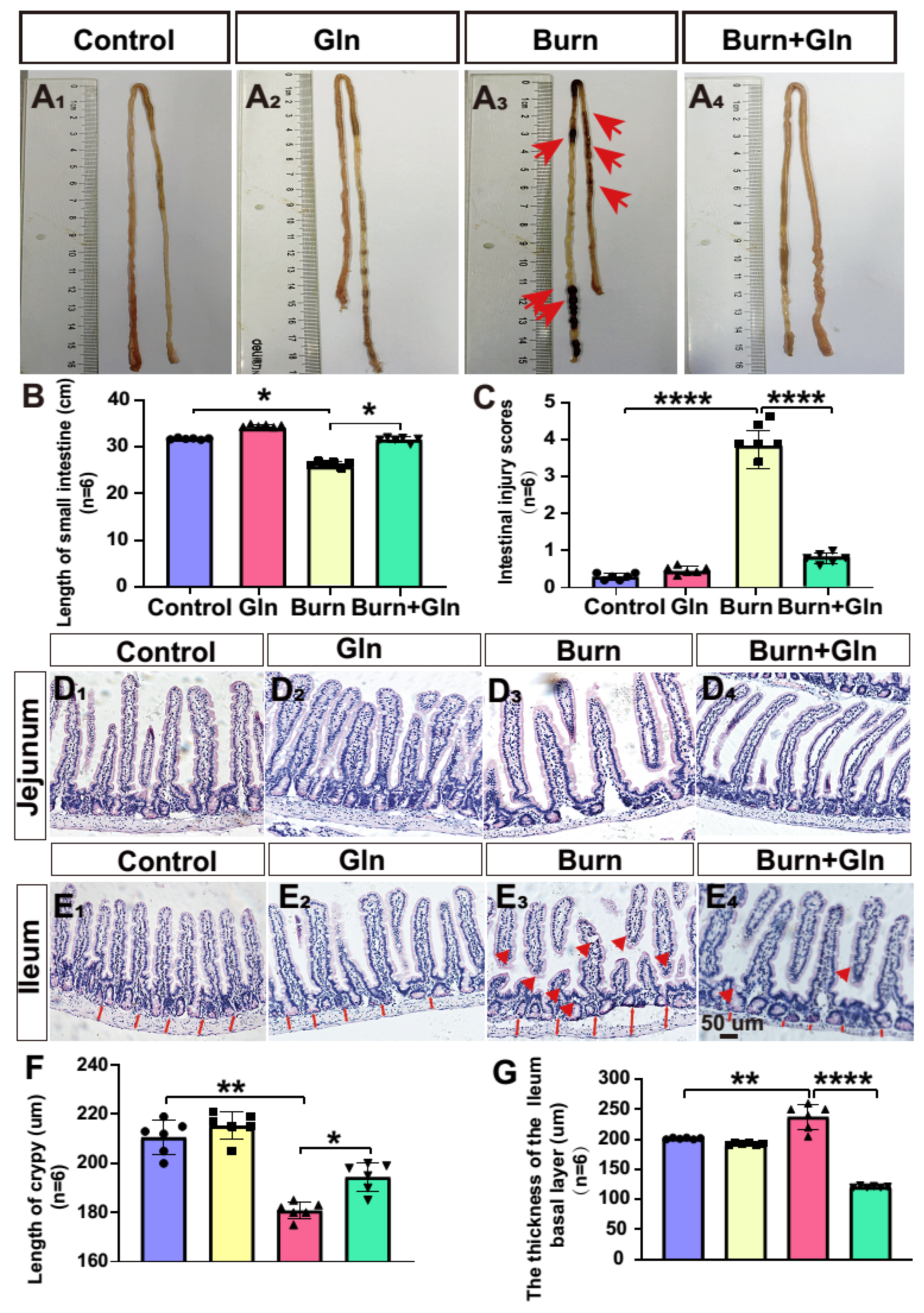 Nutrients 15 01766 g001
