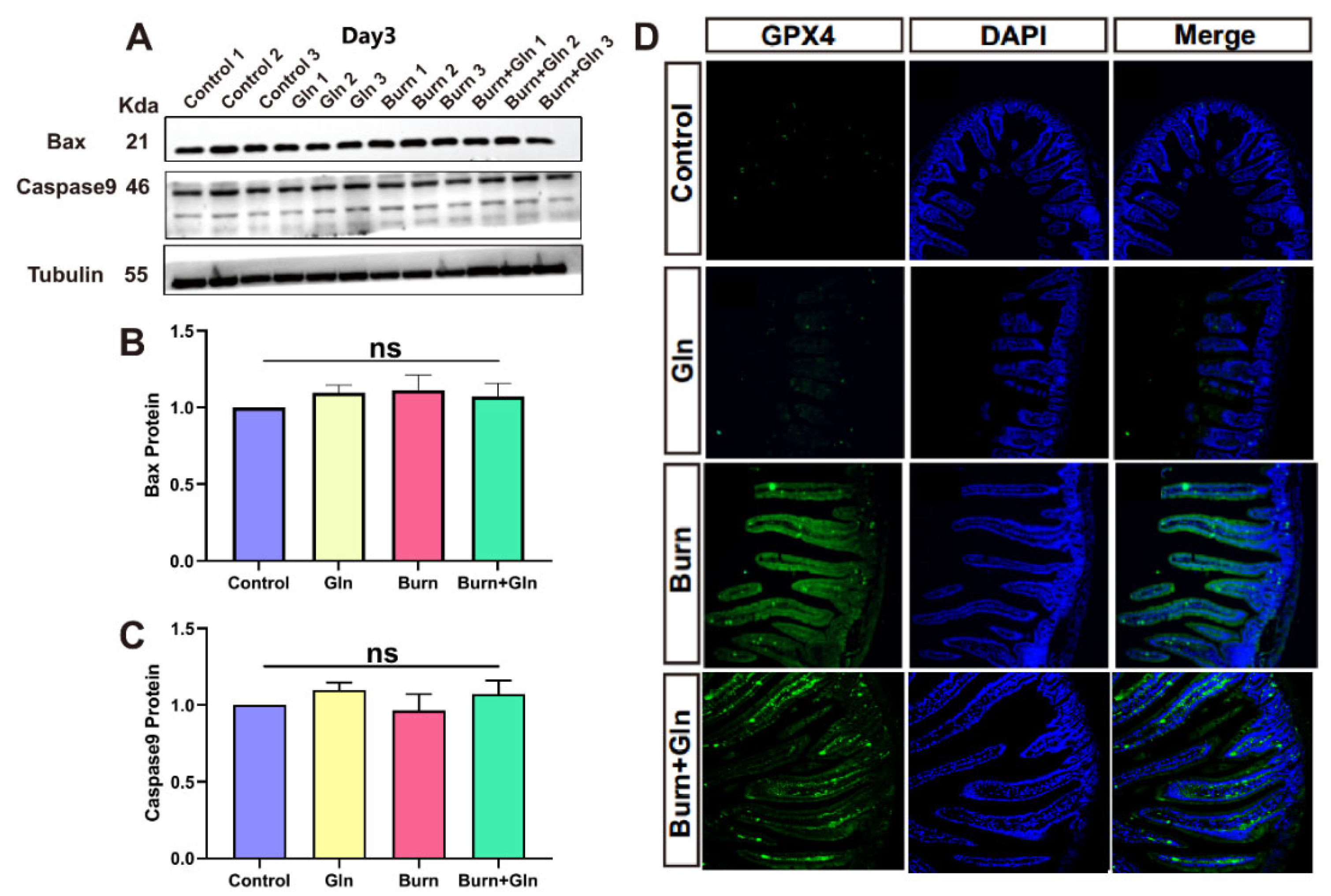 Nutrients 15 01766 g003