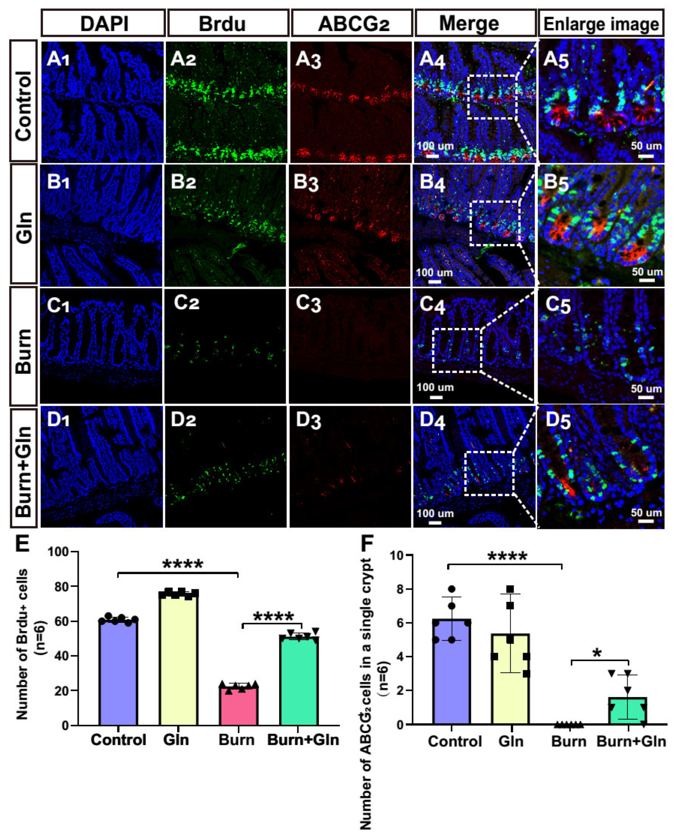 Nutrients 15 01766 g005