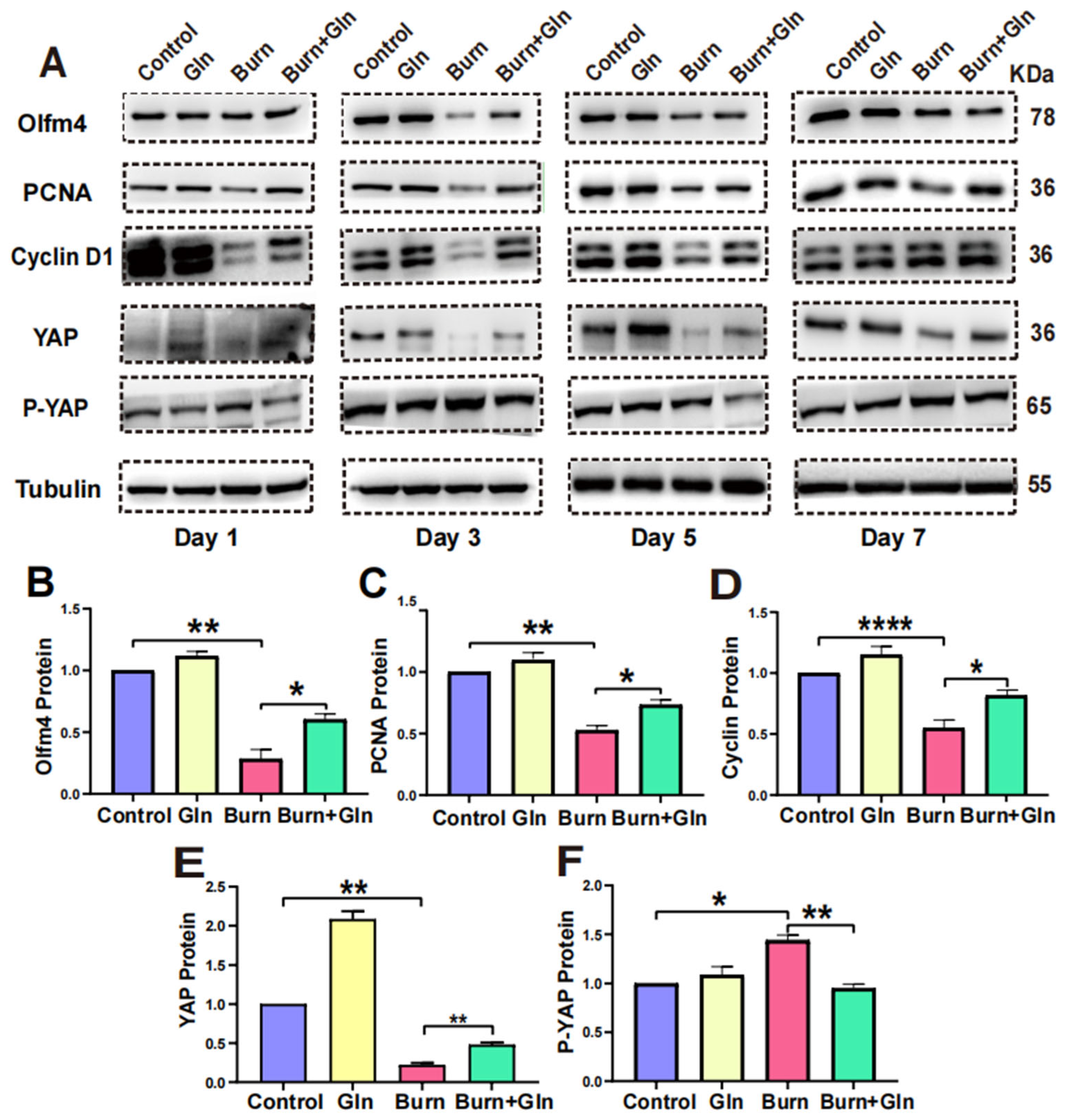 Nutrients 15 01766 g008