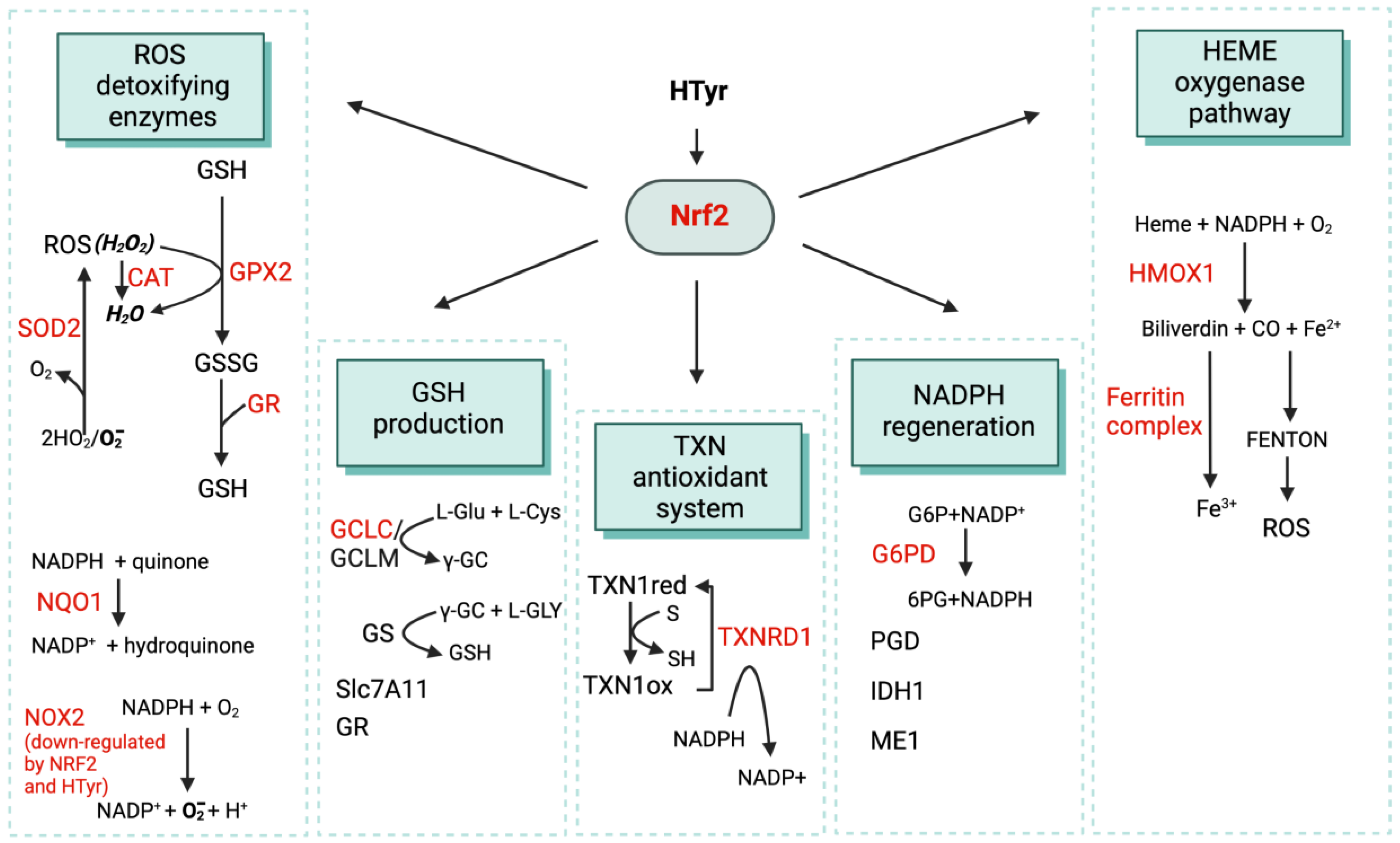 Nutrients 15 01767 g004