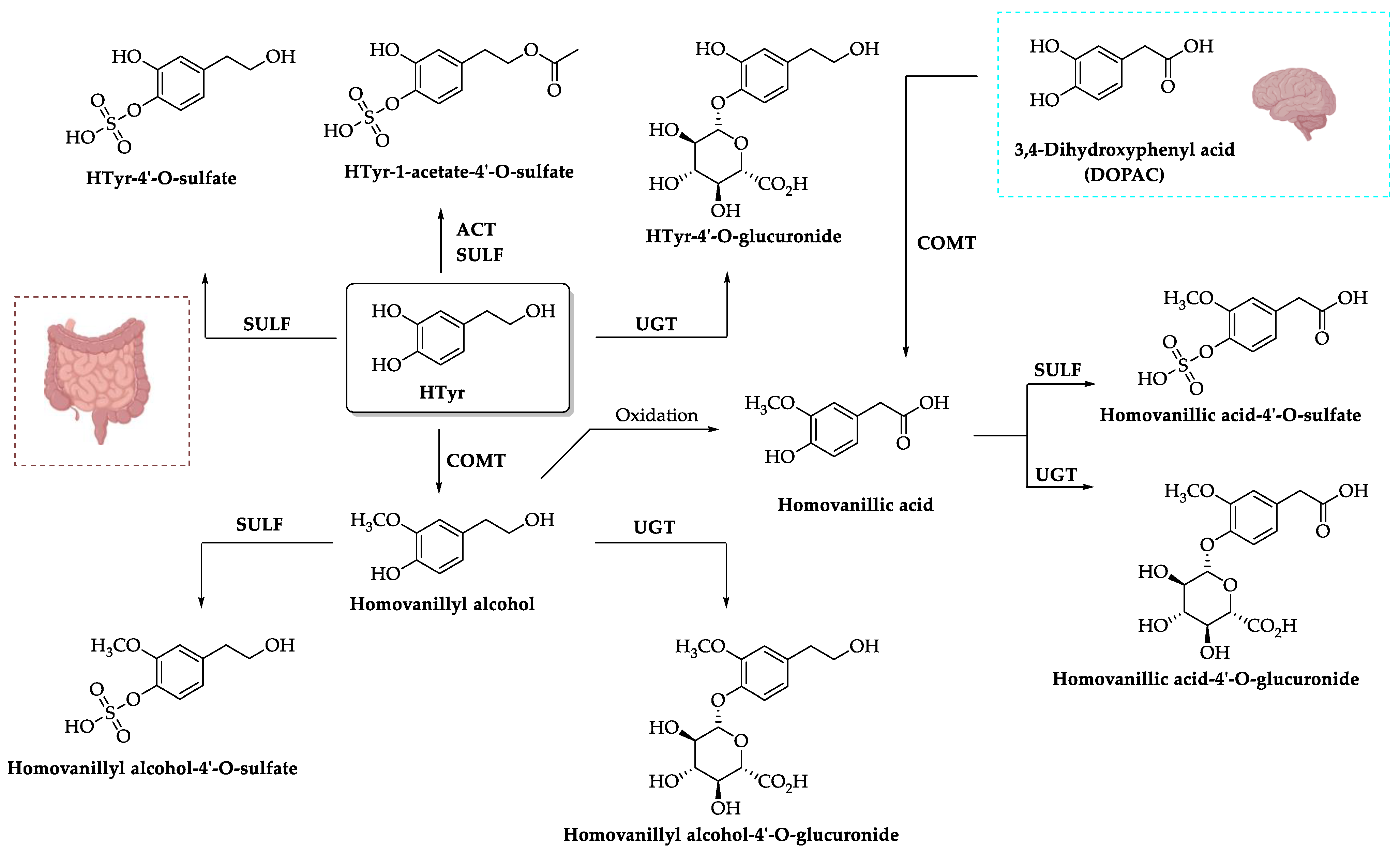 Nutrients 15 01767 sch002