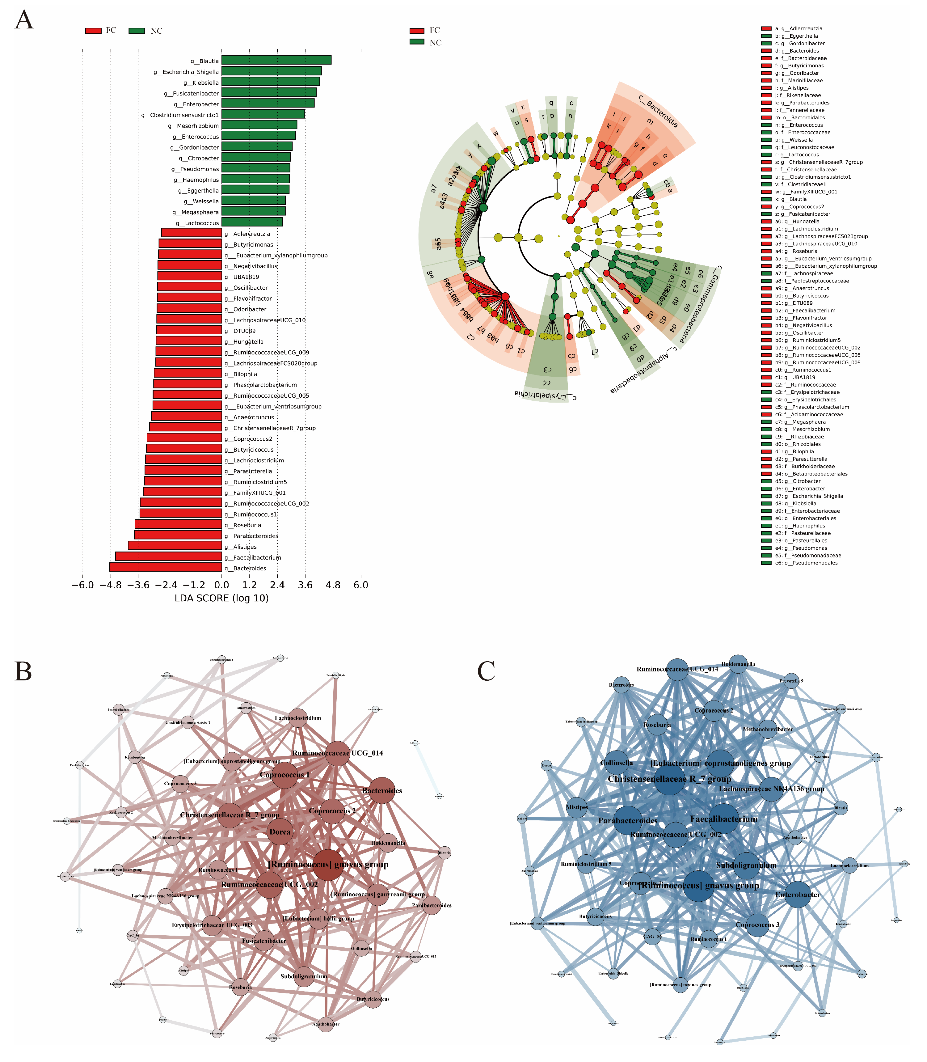 Nutrients 15 01779 g002