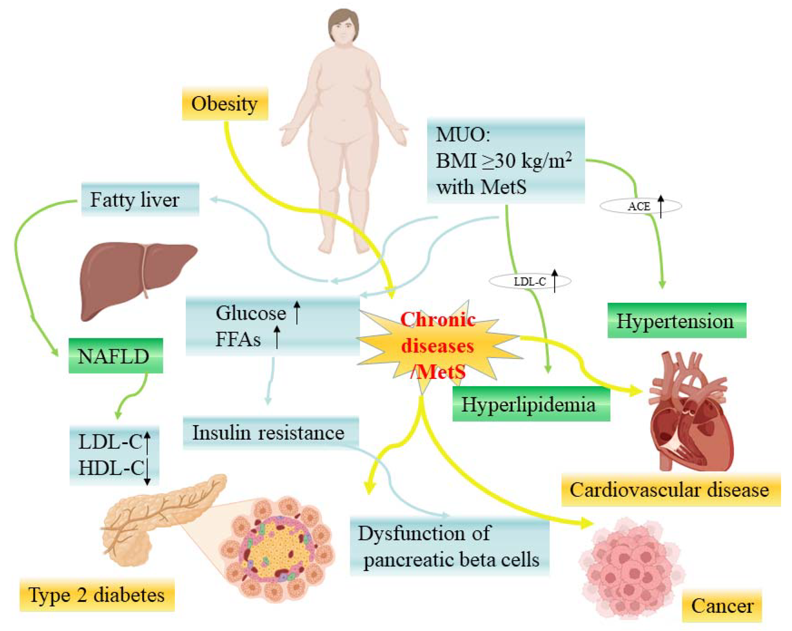 Nutrients 15 01811 g002 Nutrients 15 01811 g002