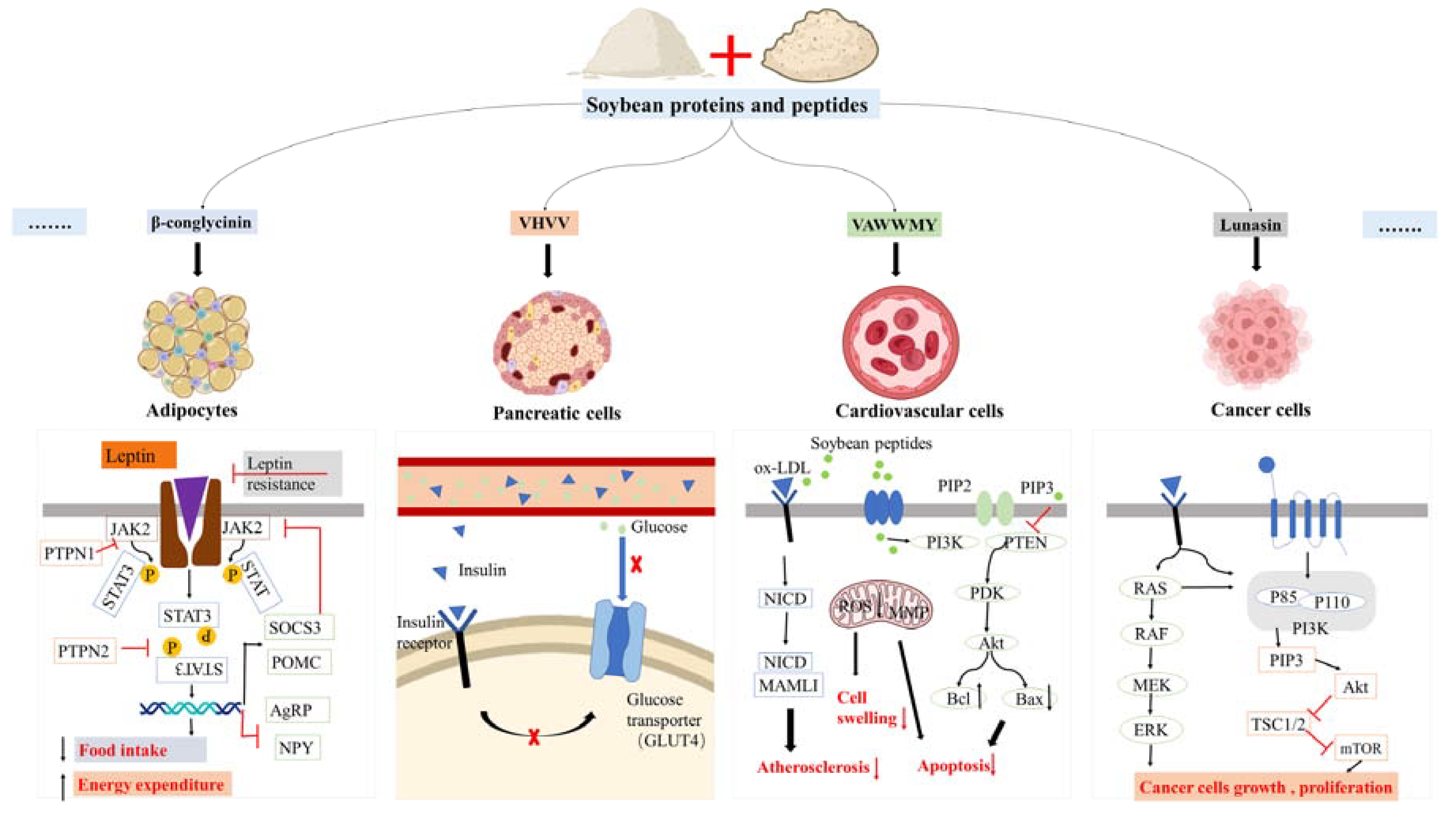 Nutrients 15 01811 g004 Nutrients 15 01811 g004