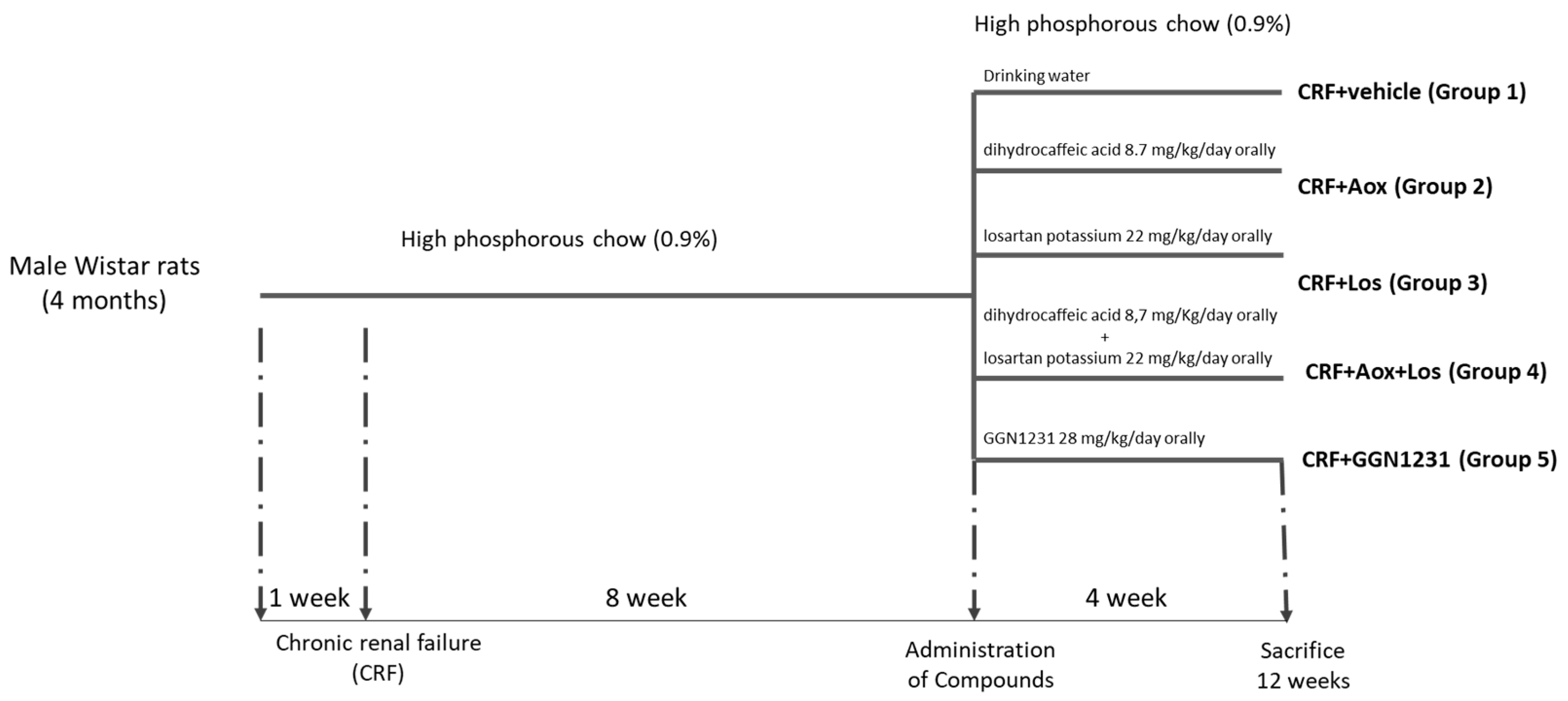 Nutrients 15 01820 g001