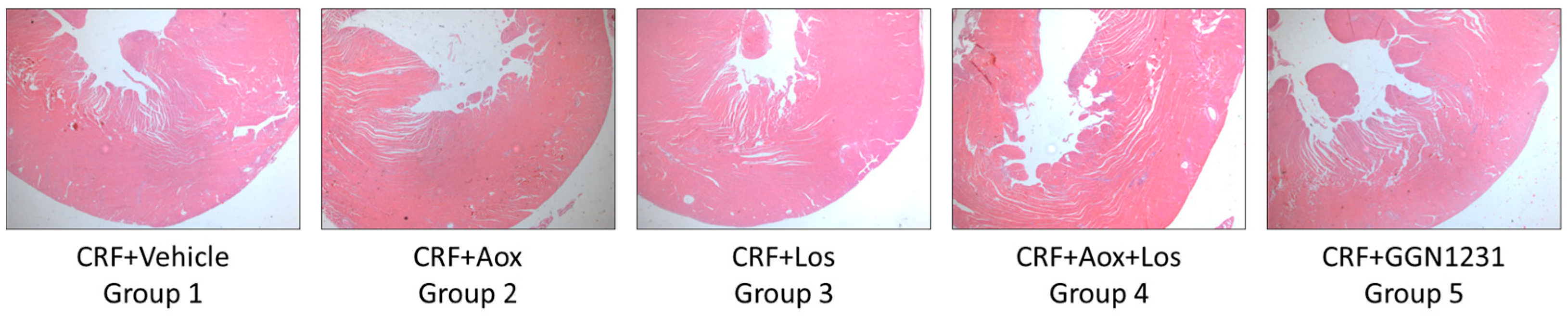 Nutrients 15 01820 g004