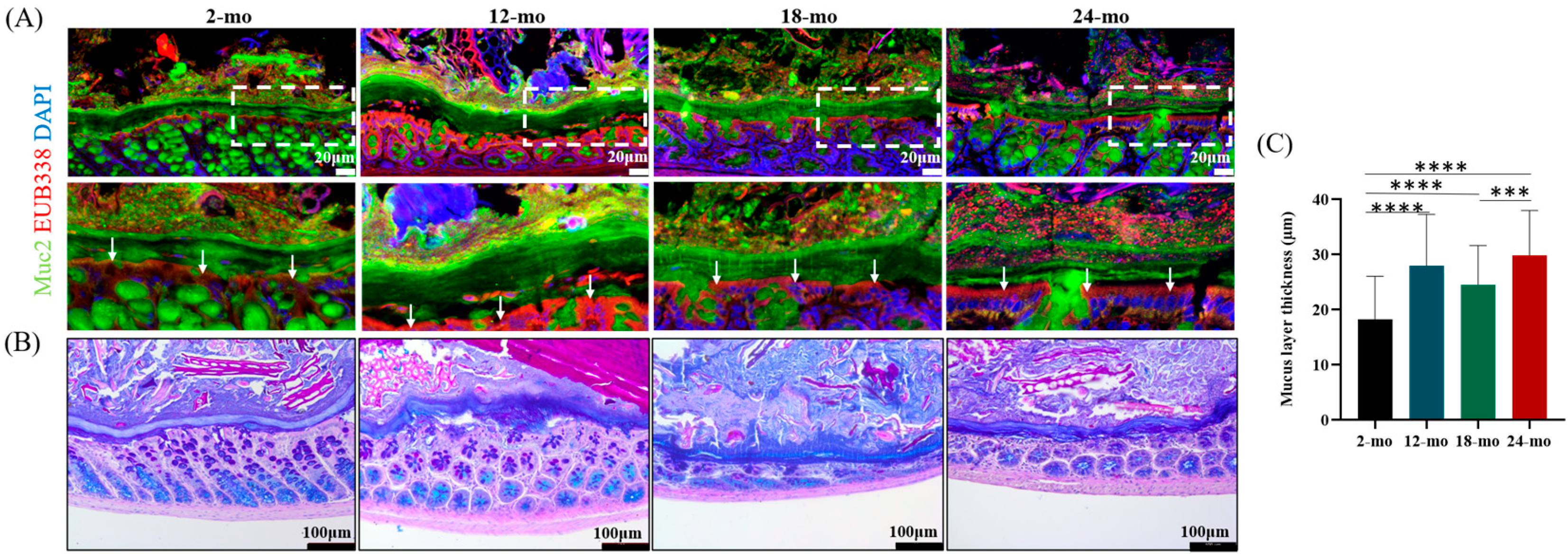 Nutrients 15 01830 g001 Nutrients 15 01830 g001