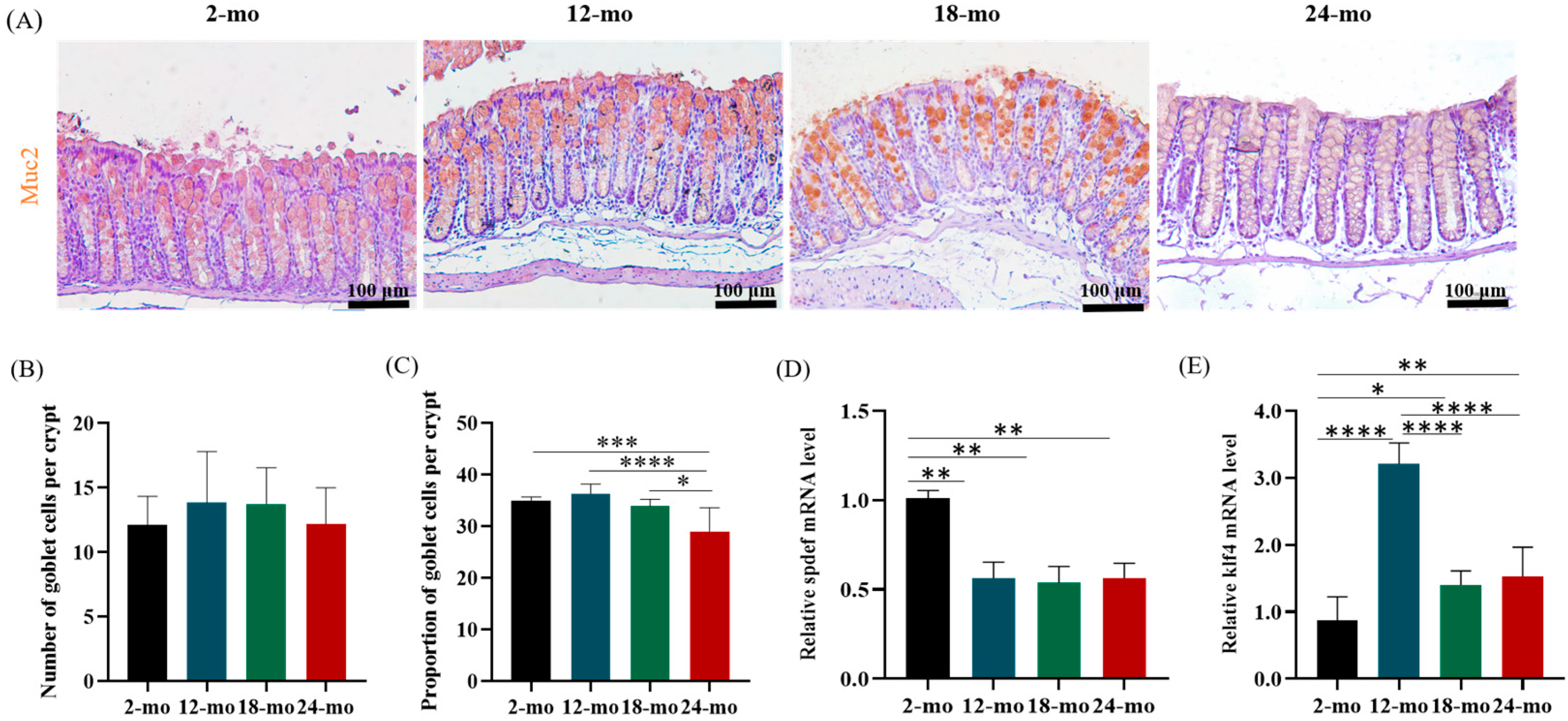 Nutrients 15 01830 g005 Nutrients 15 01830 g005
