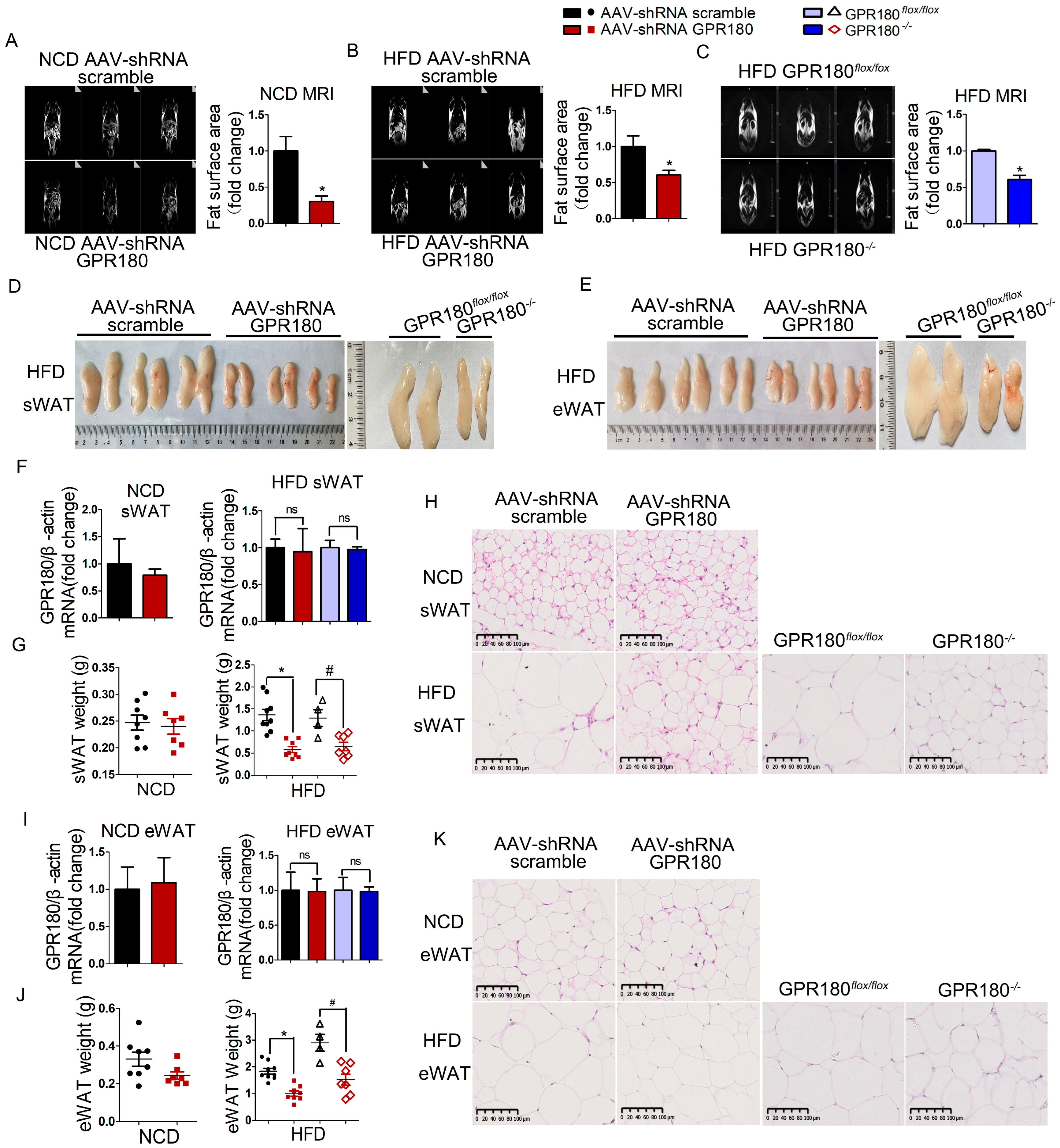 Nutrients 15 01838 g004