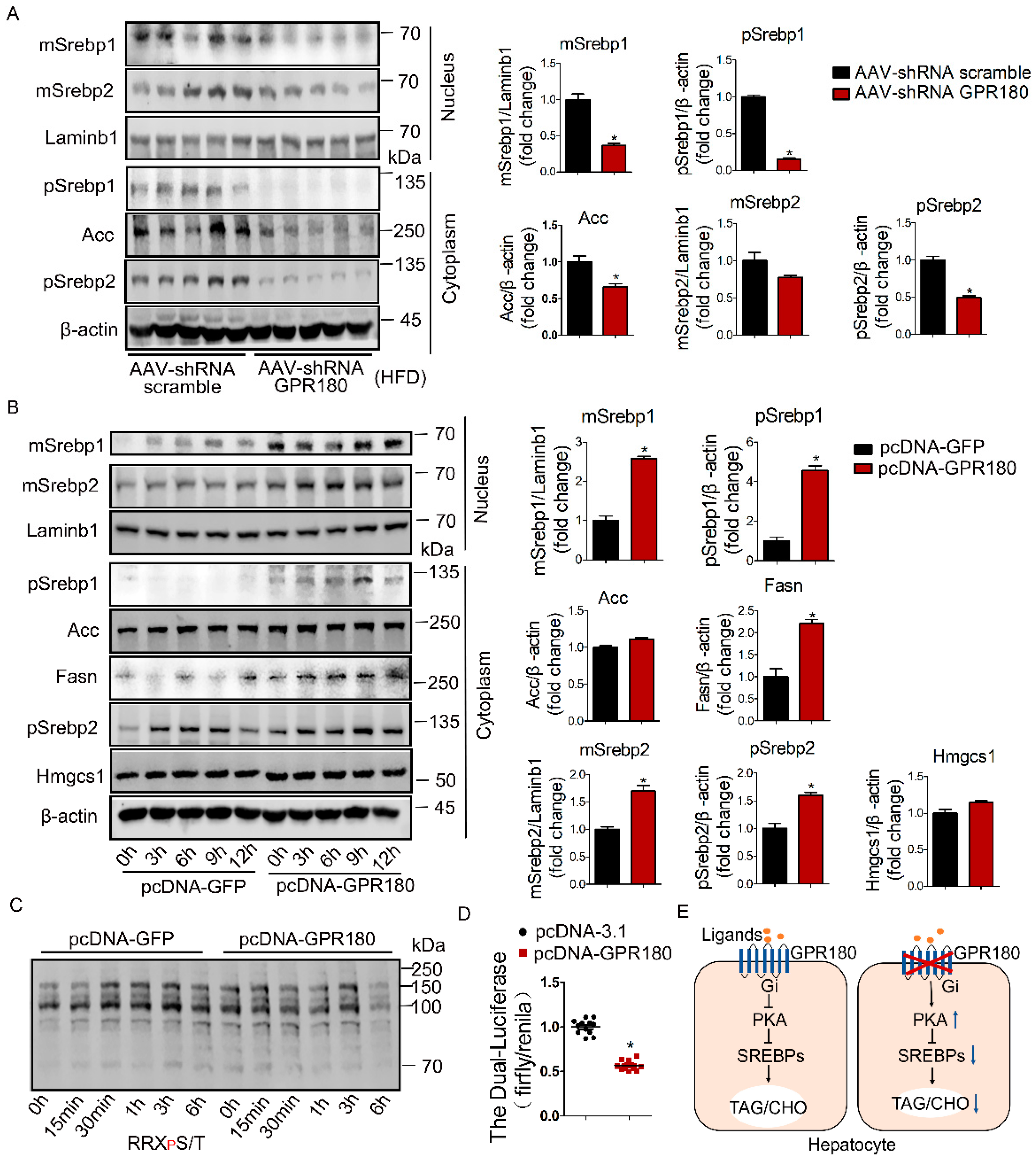 Nutrients 15 01838 g007