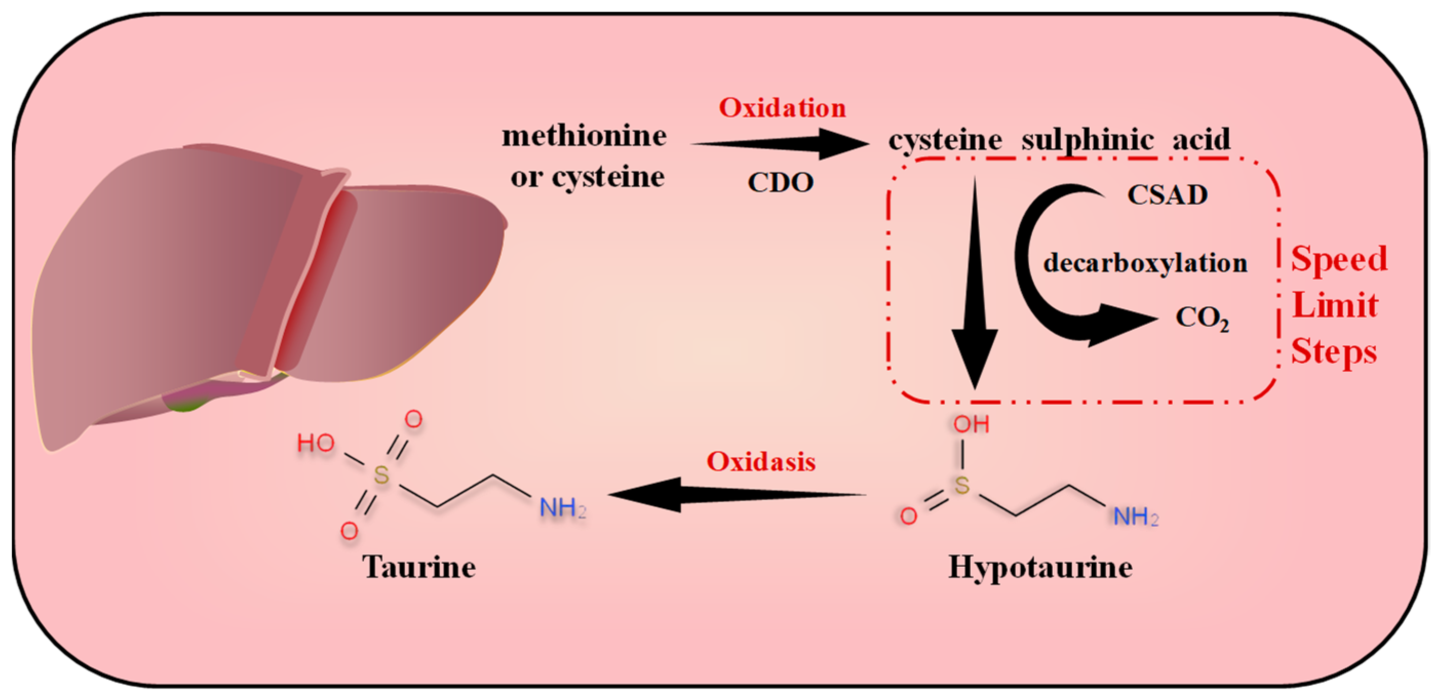 Nutrients 15 01843 g001