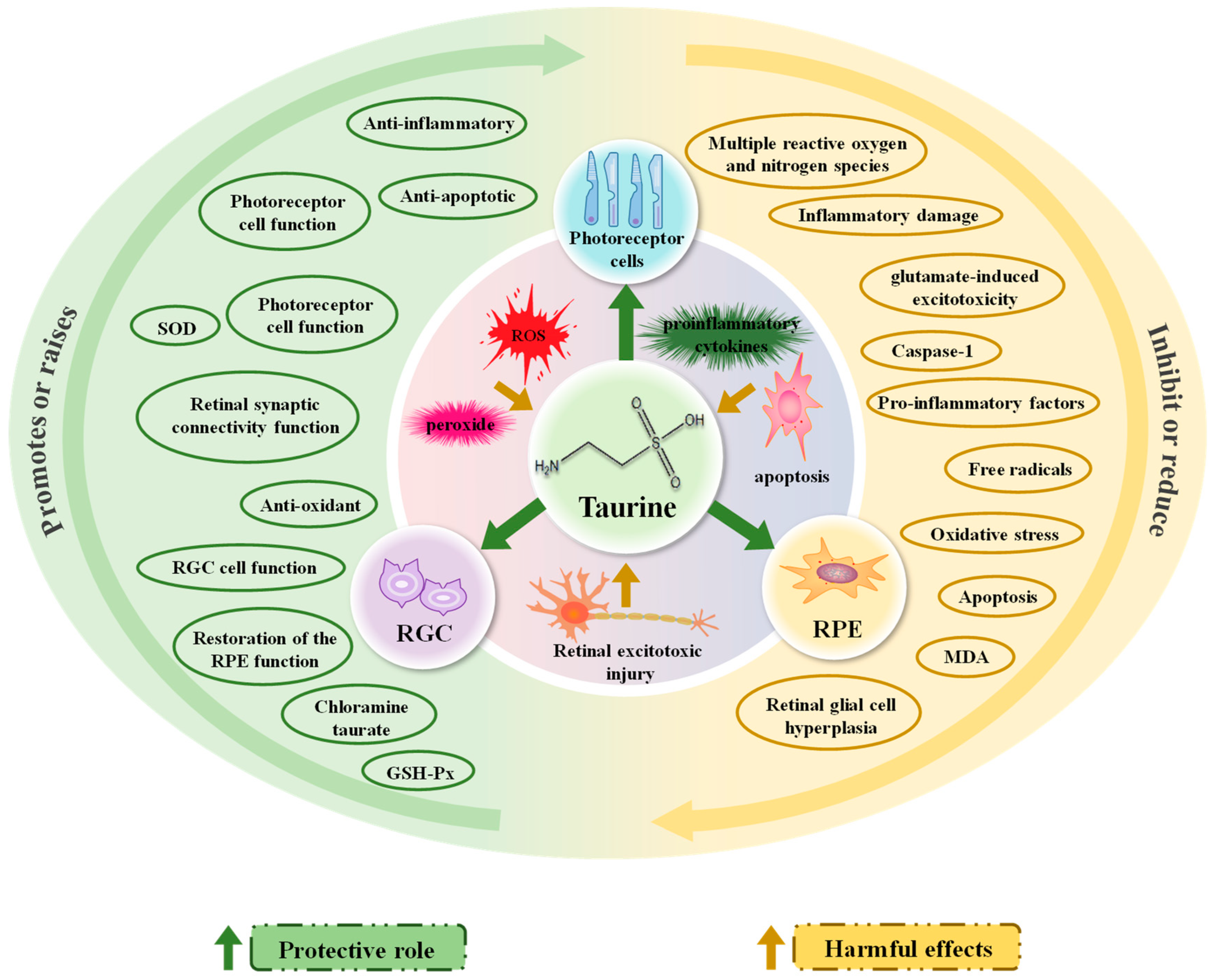 Nutrients 15 01843 g003