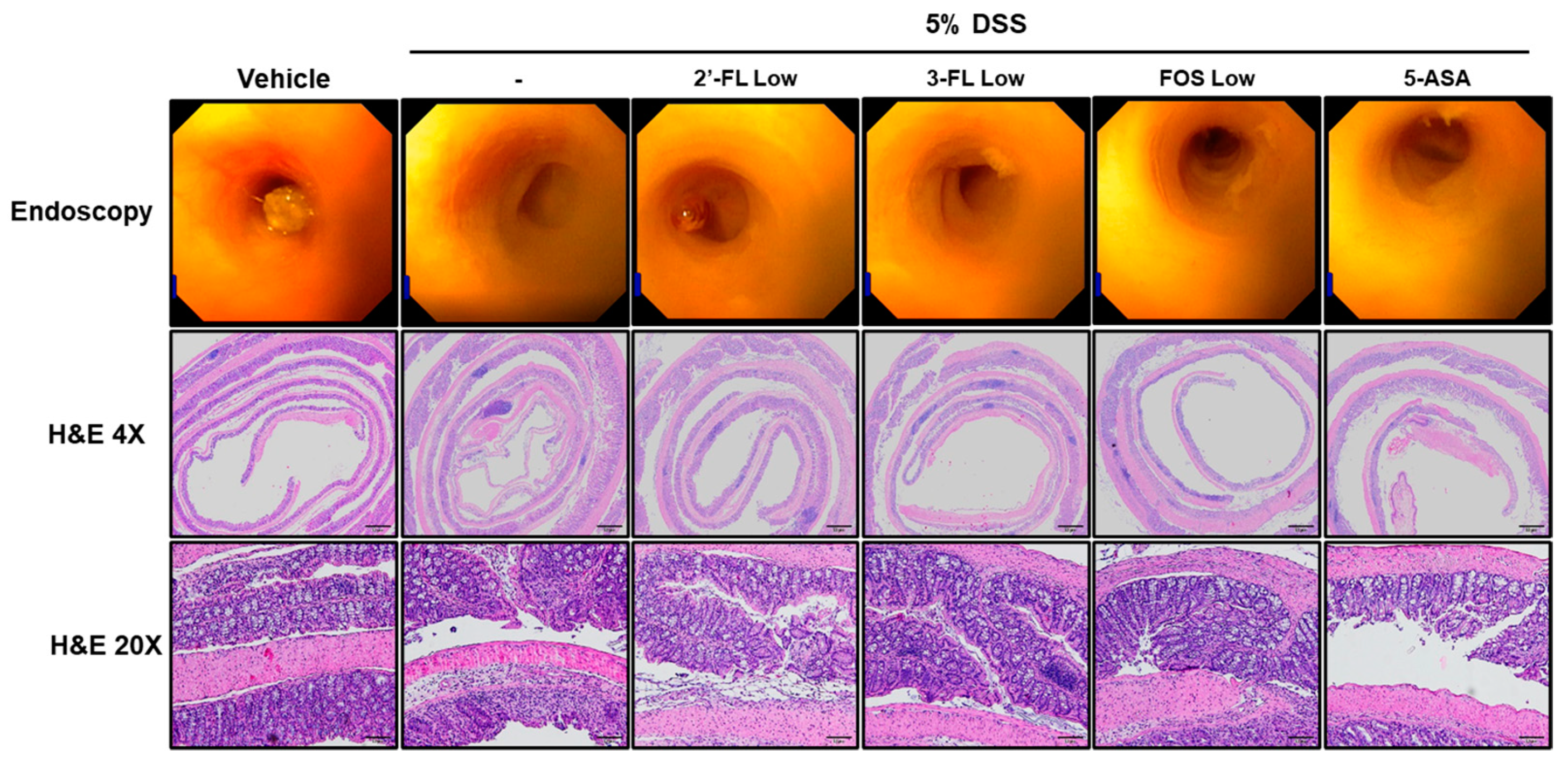 Nutrients 15 01845 g004