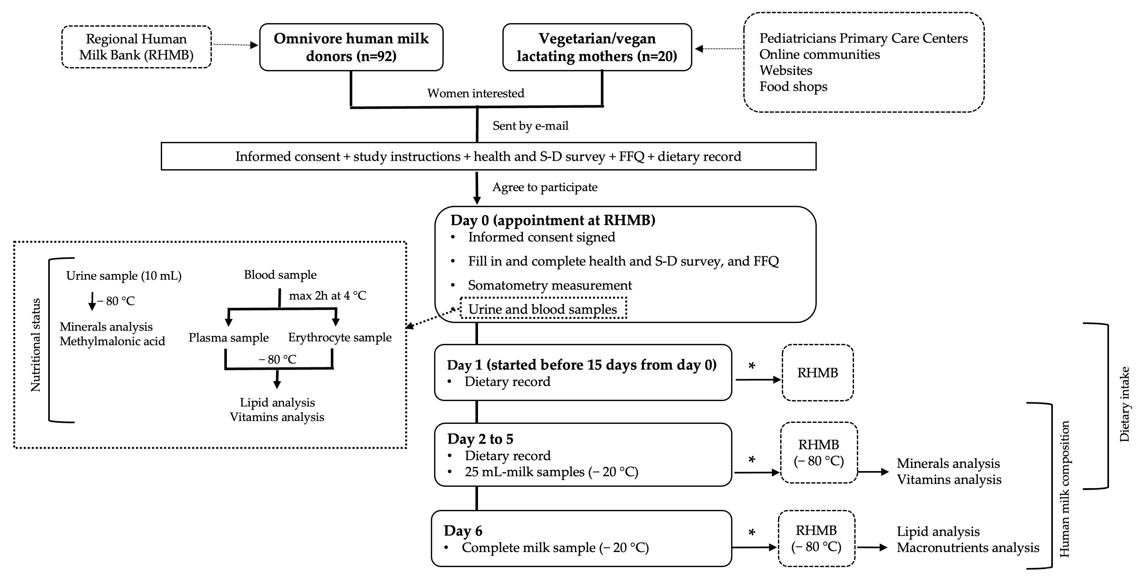 Nutrients 15 01855 g001