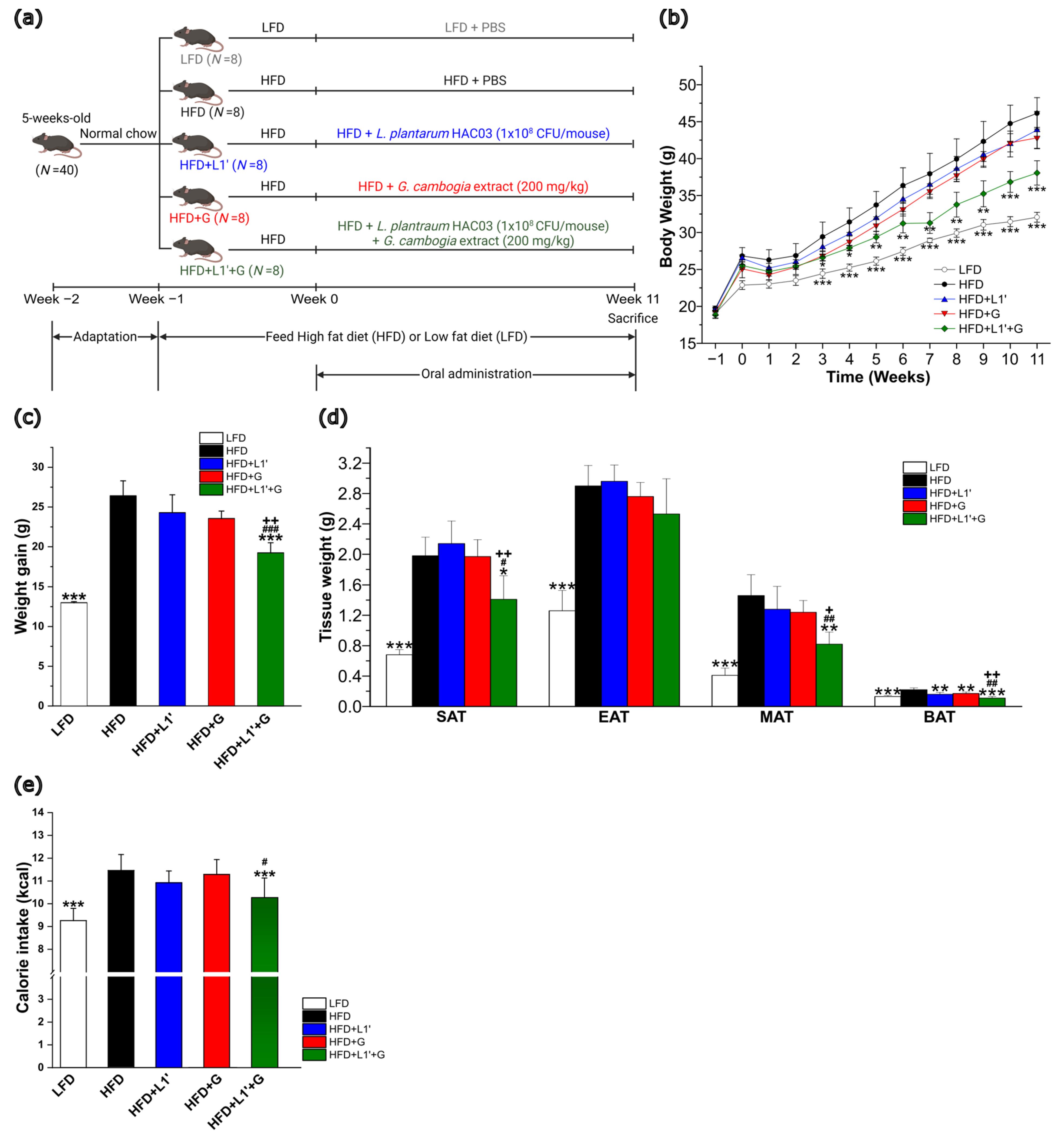 Nutrients 15 01859 g002