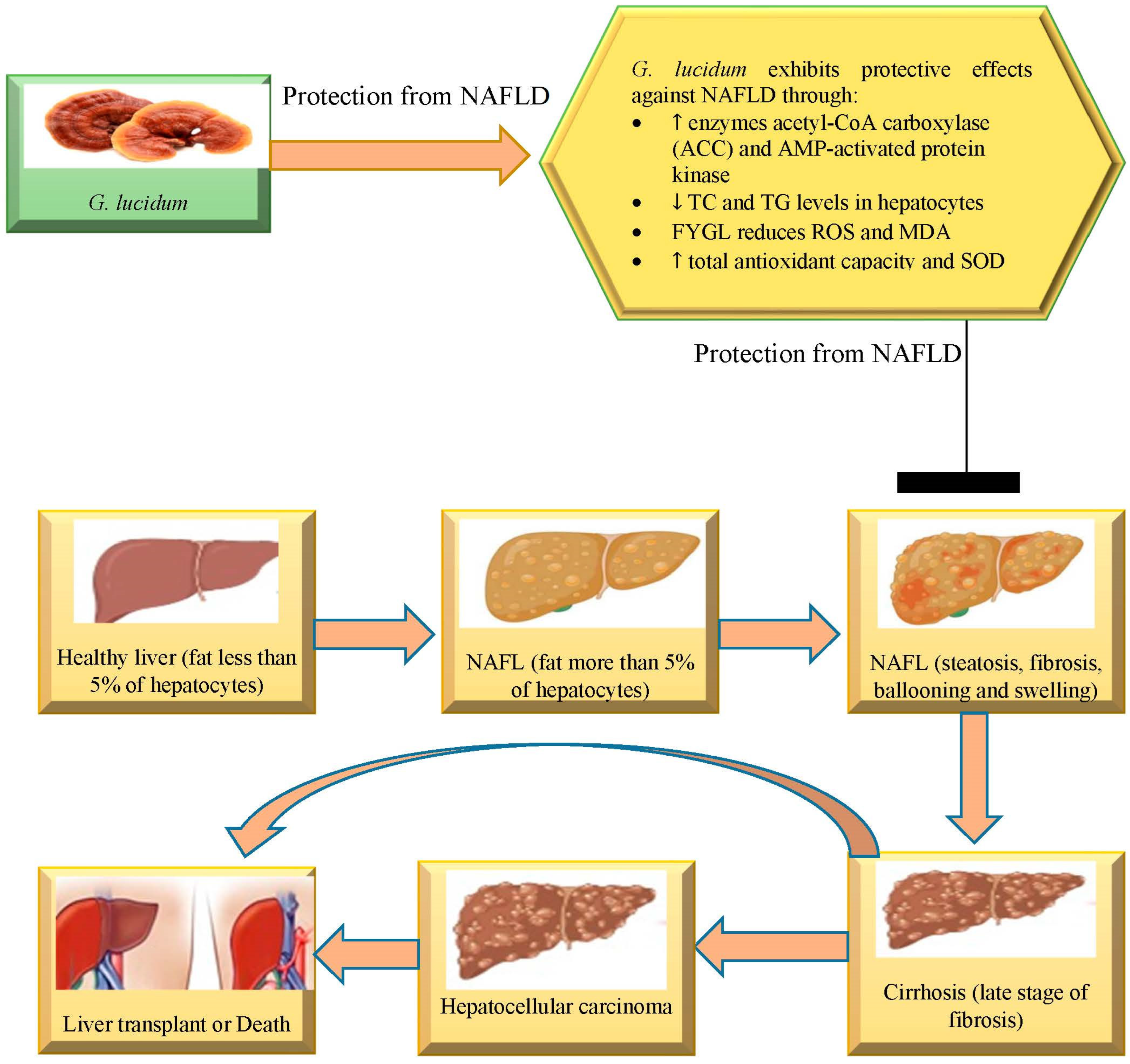 Nutrients 15 01874 g003