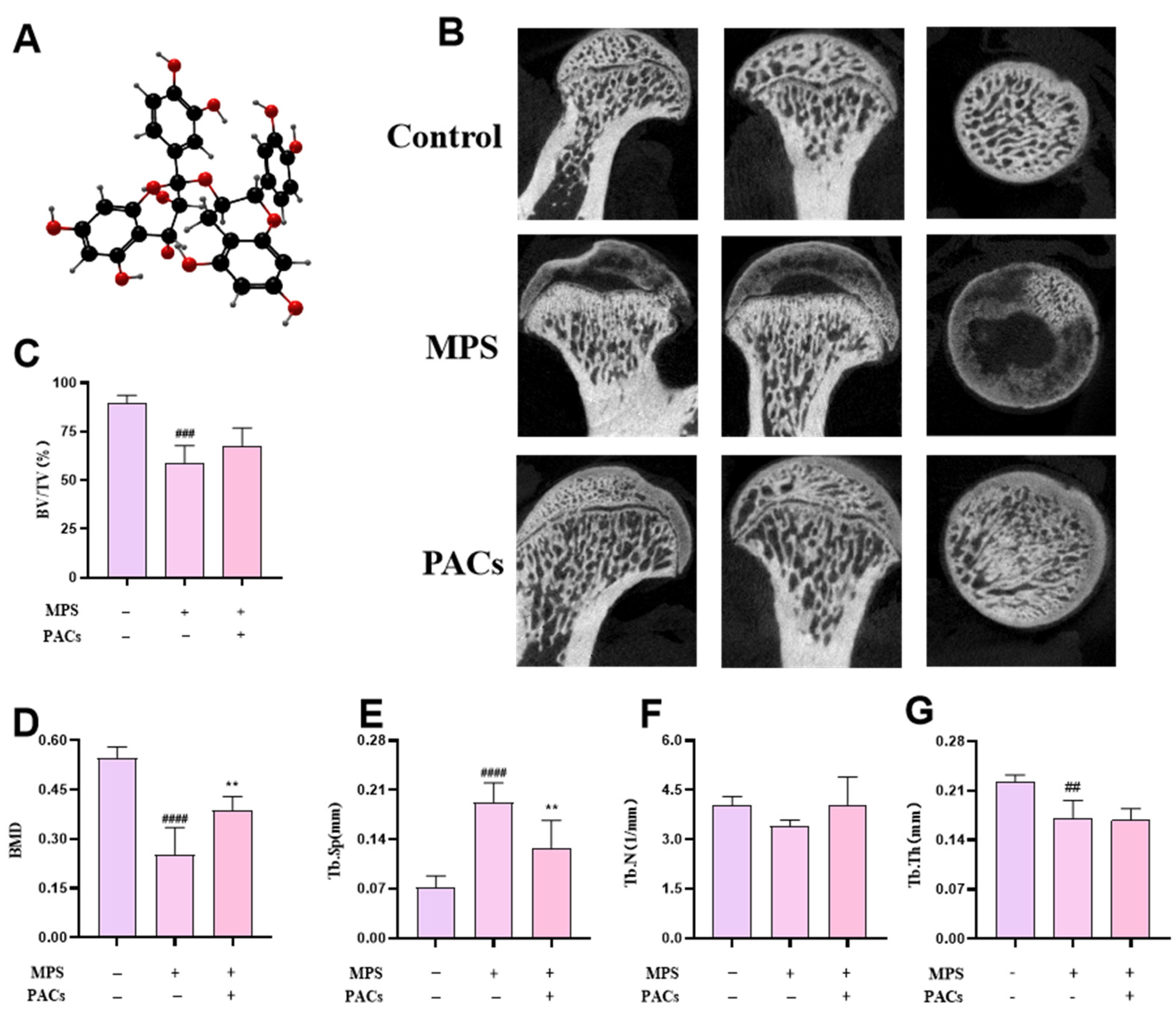 Nutrients 15 01936 g001