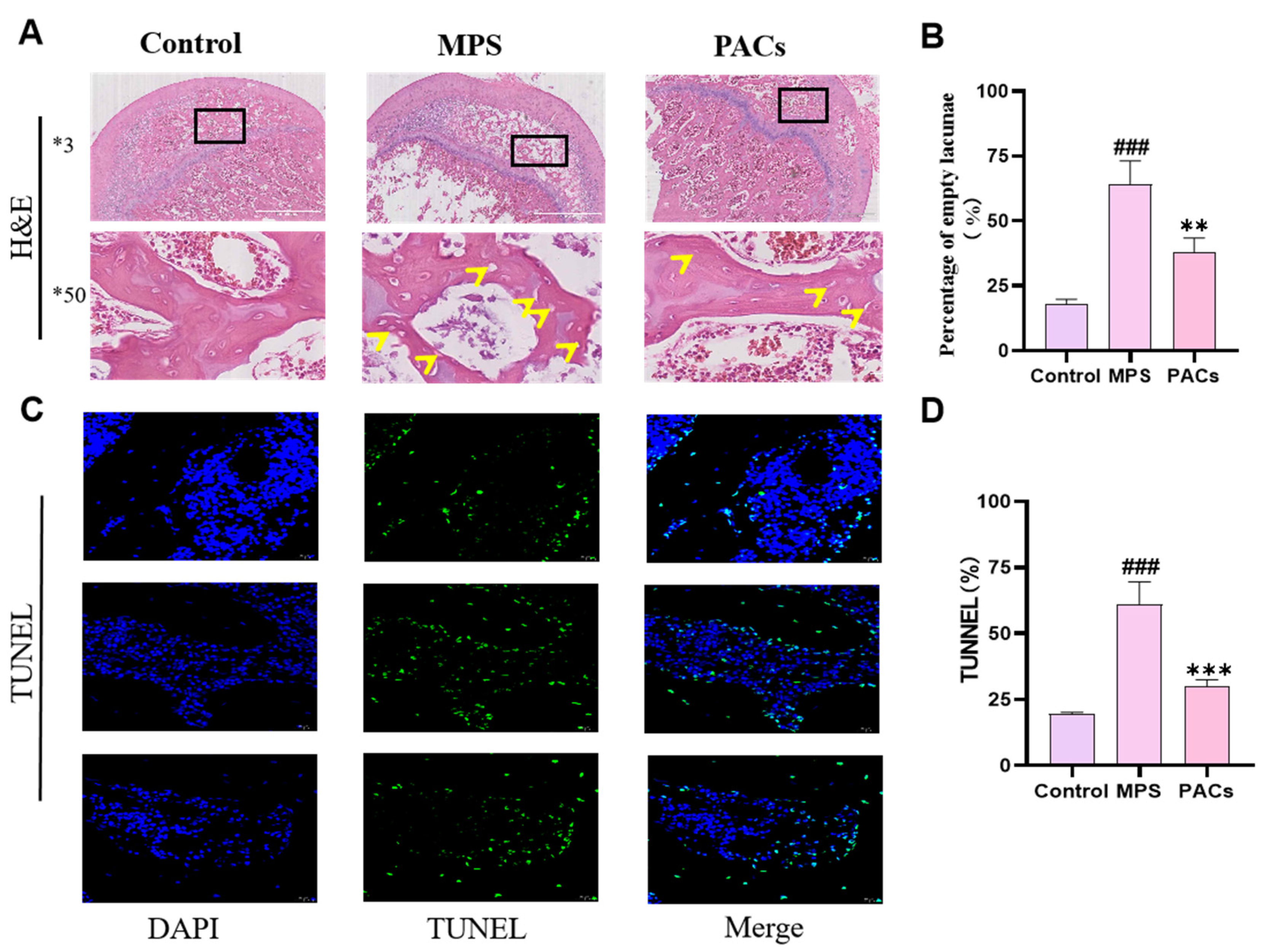 Nutrients 15 01936 g002