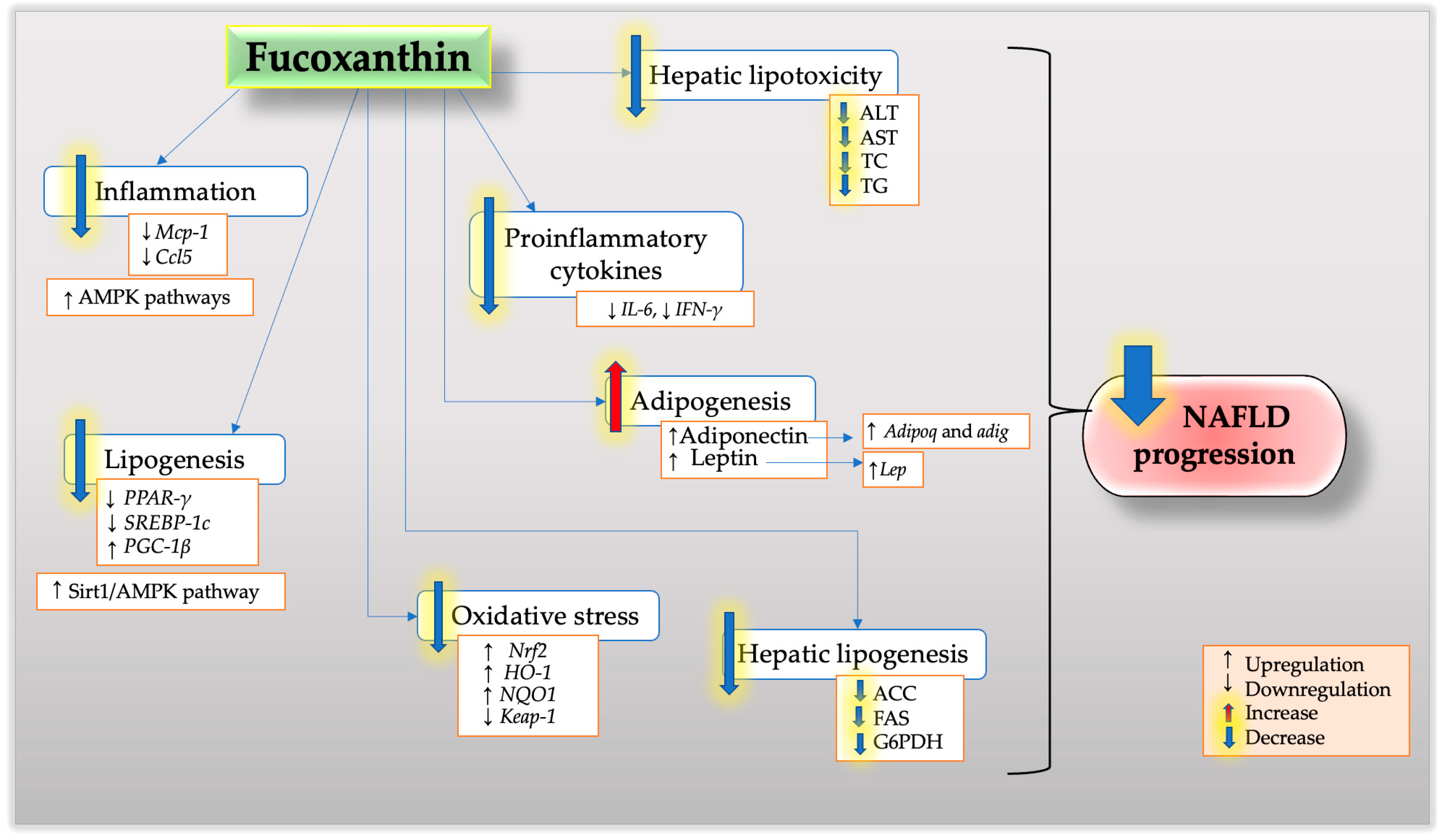 Nutrients 15 01954 g001