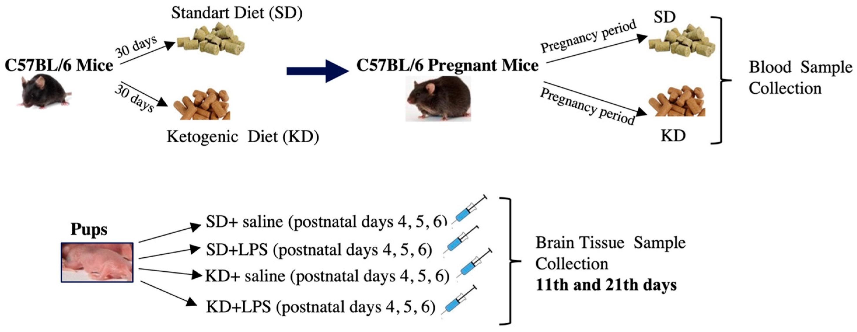 Nutrients 15 01994 g001 Nutrients 15 01994 g001