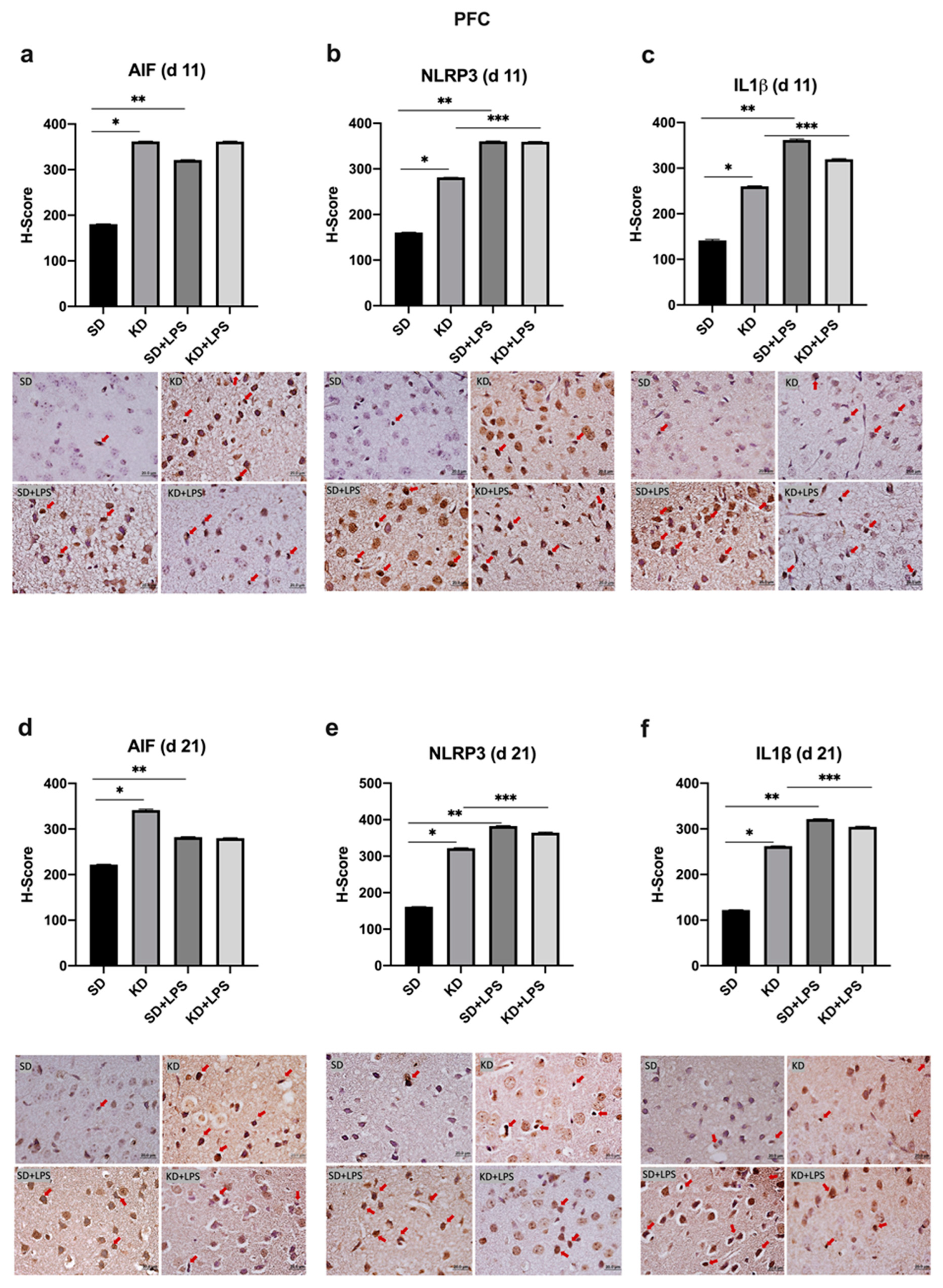Nutrients 15 01994 g004 Nutrients 15 01994 g004