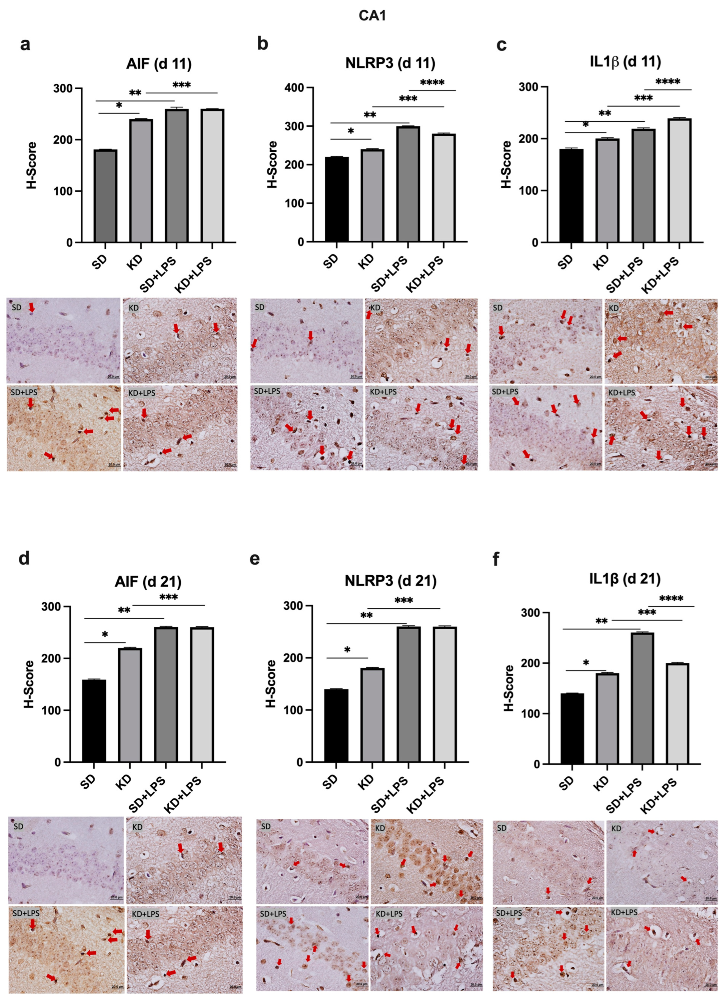 Nutrients 15 01994 g005 Nutrients 15 01994 g005