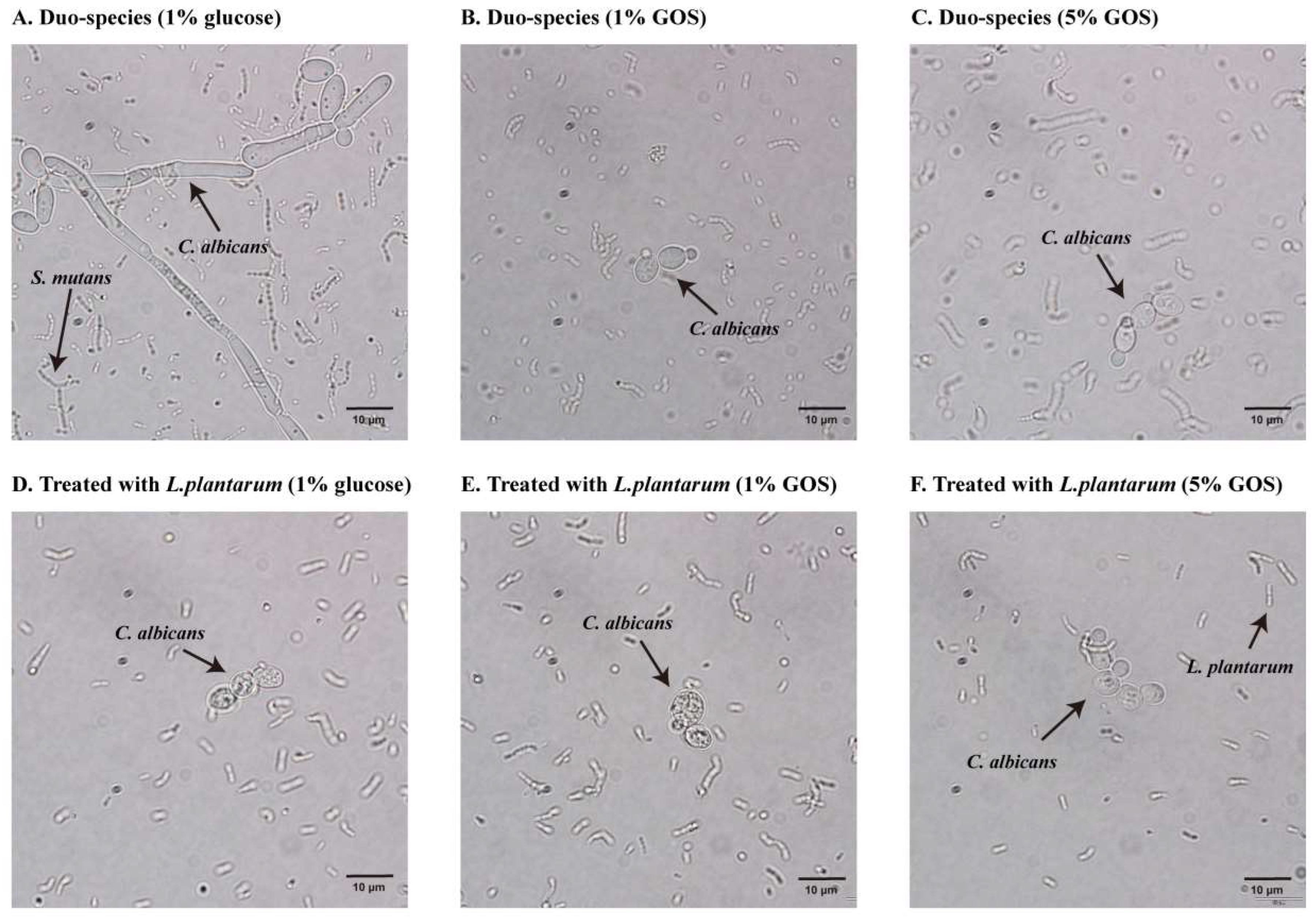 Nutrients 15 02017 g003