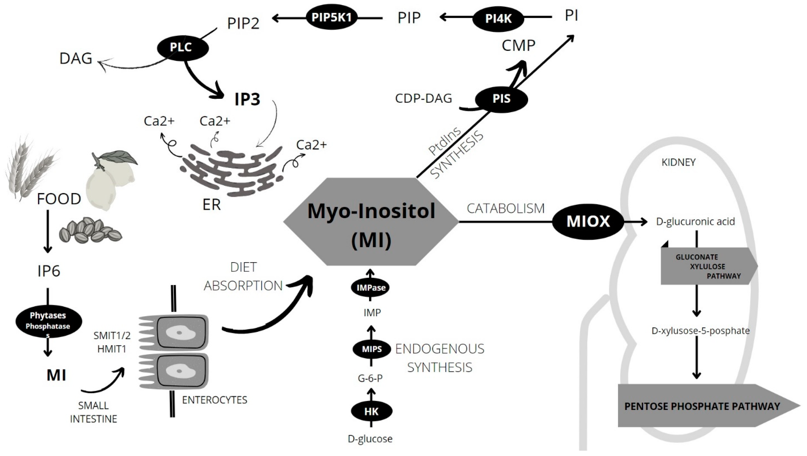 Nutrients 15 02029 g001