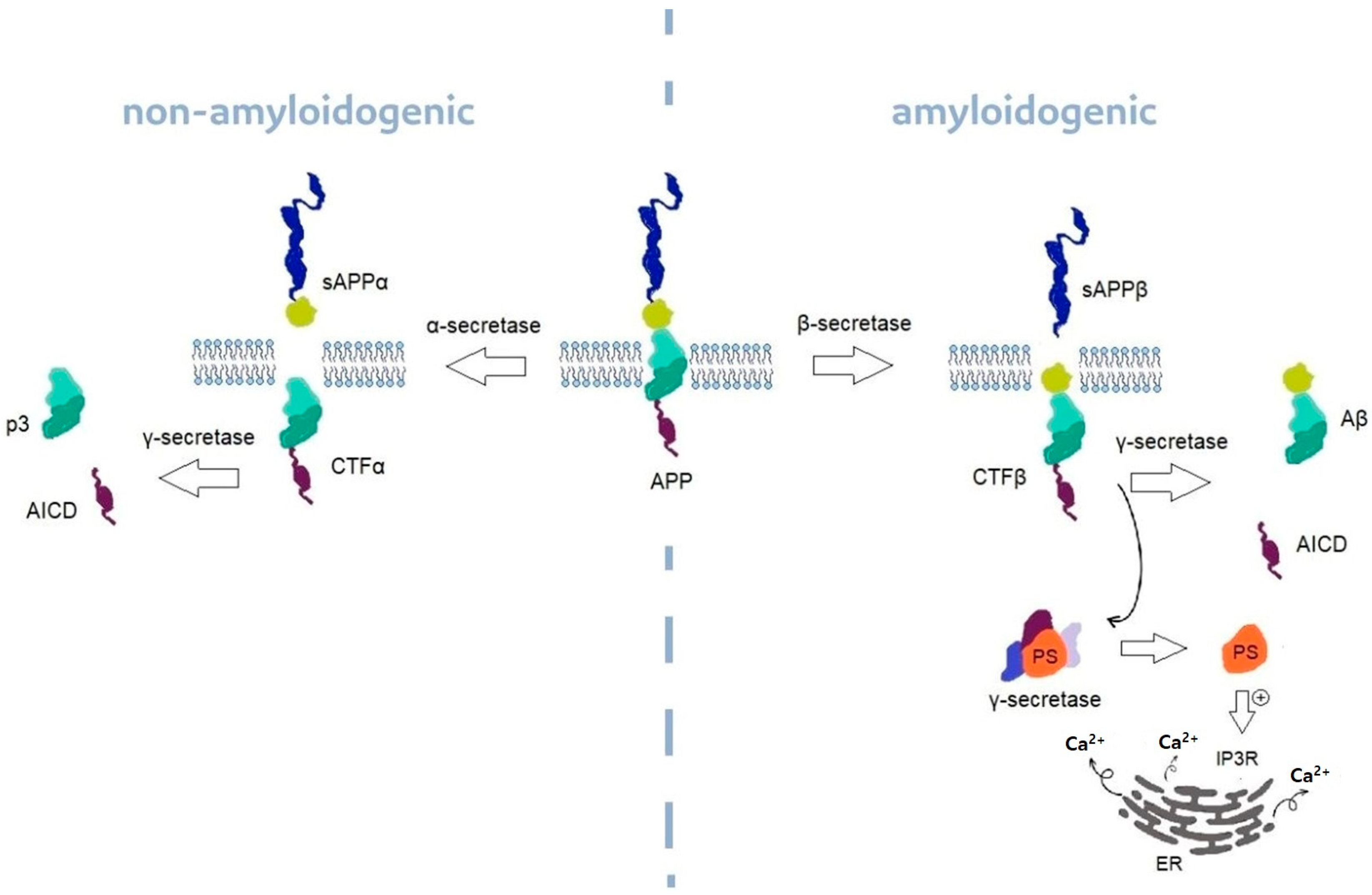 Nutrients 15 02029 g002