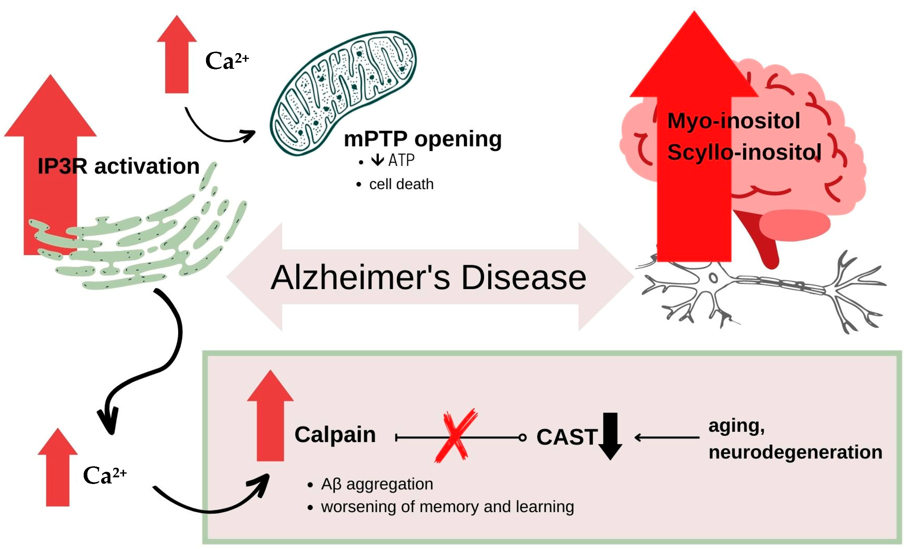 Nutrients 15 02029 g003