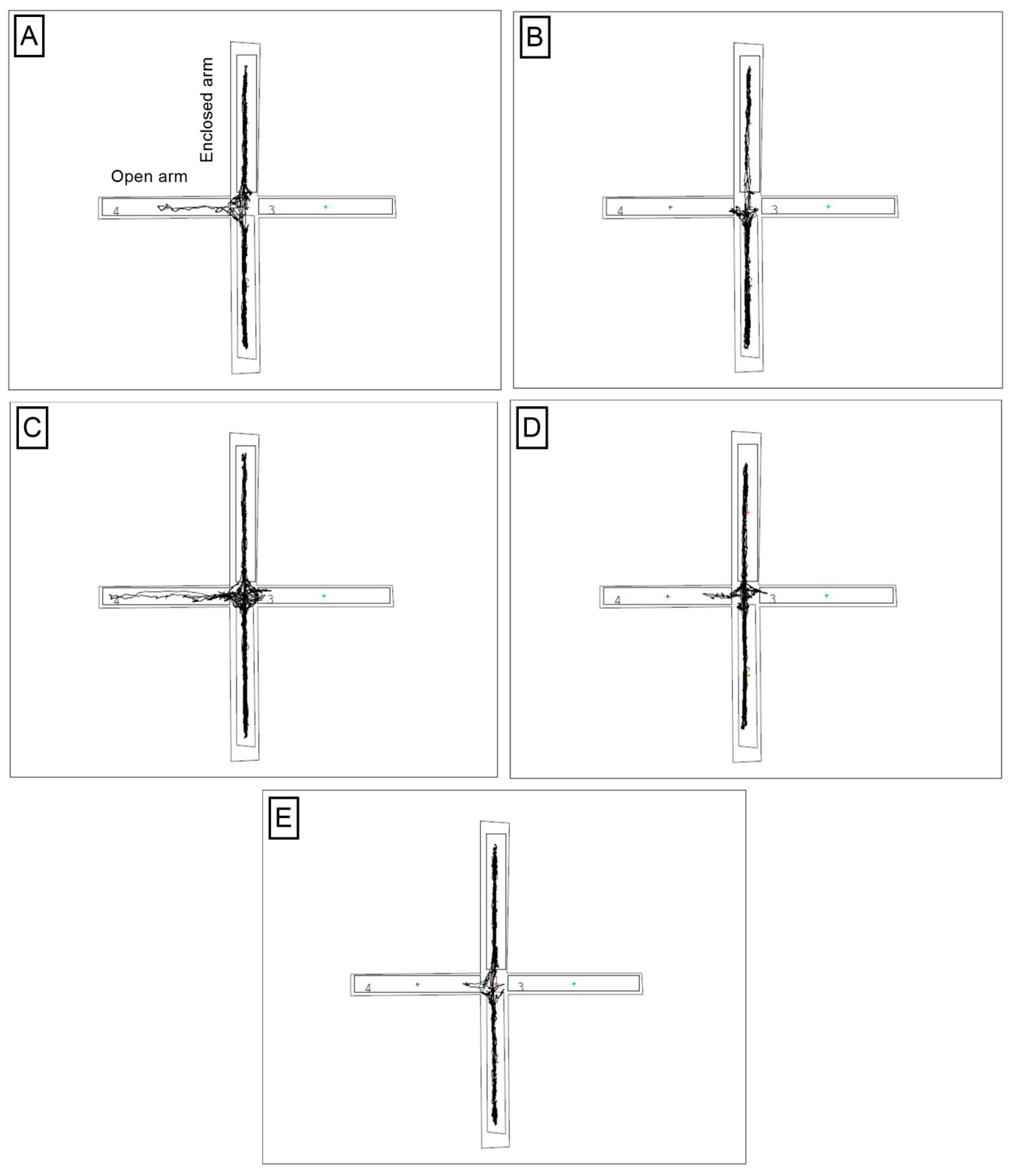 Nutrients 15 02041 g006 Nutrients 15 02041 g006