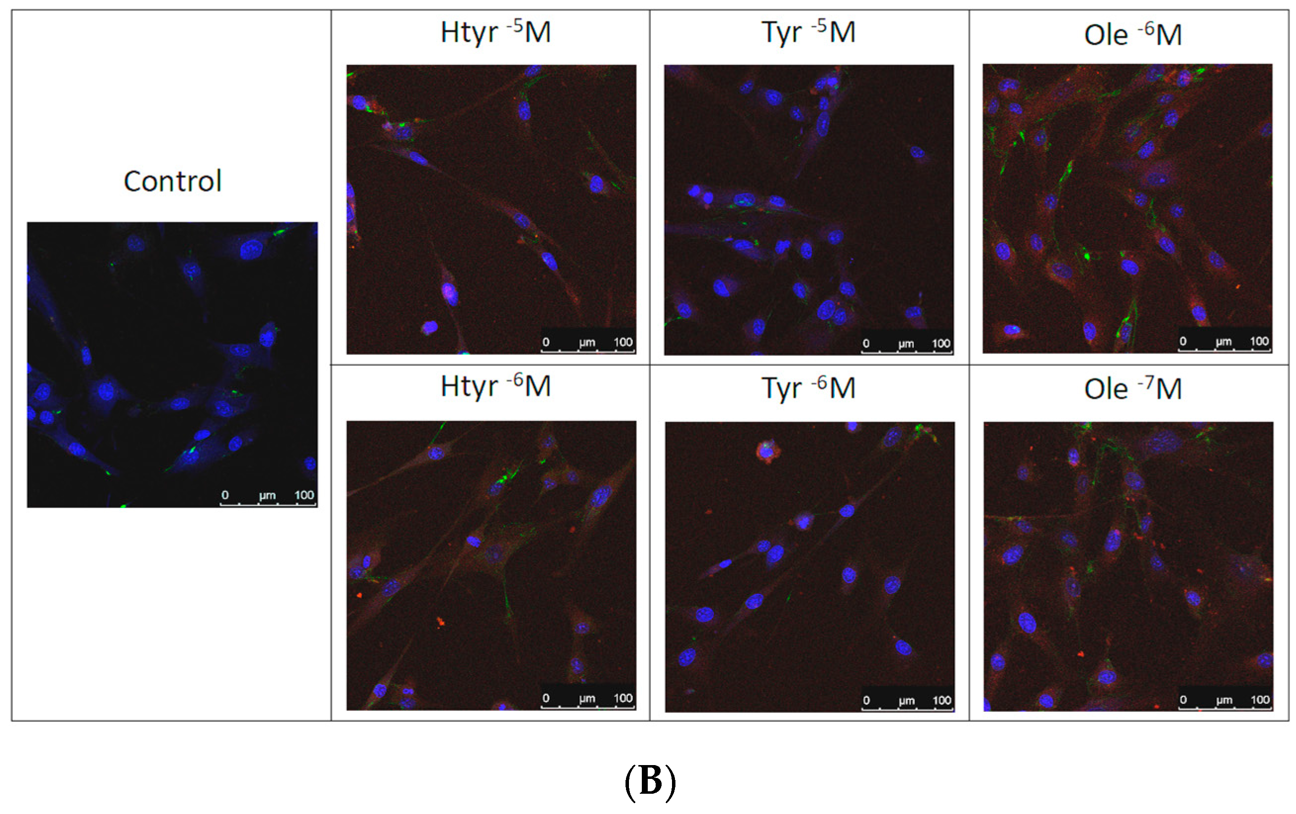 Nutrients 15 02077 g004b