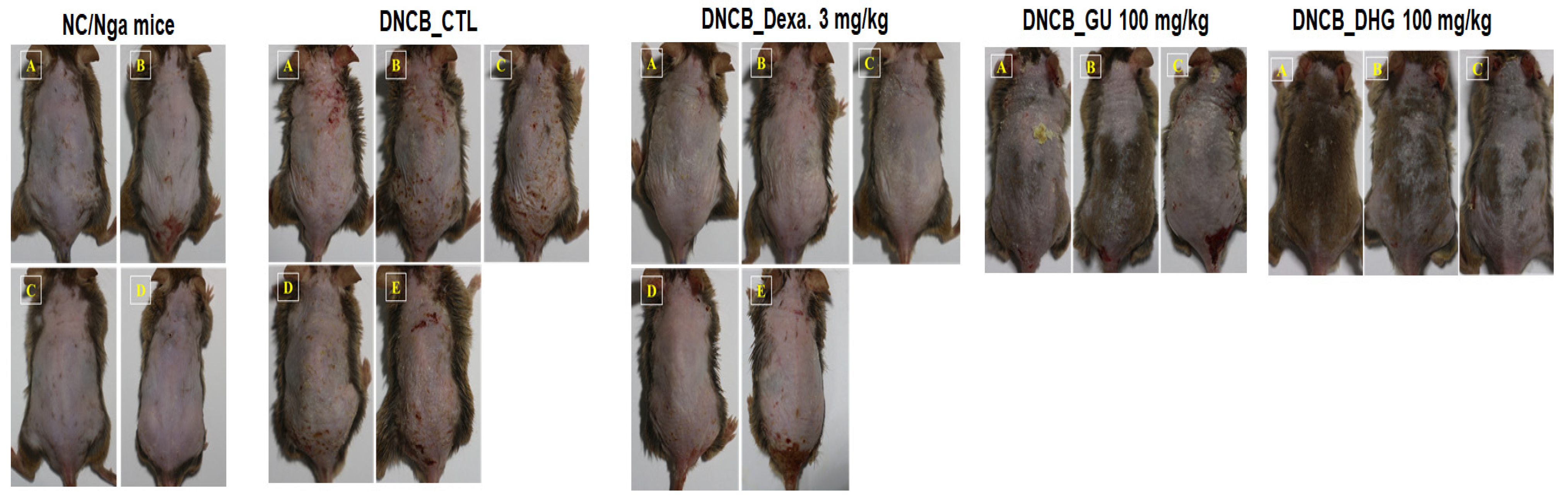 Nutrients 15 02094 g003a