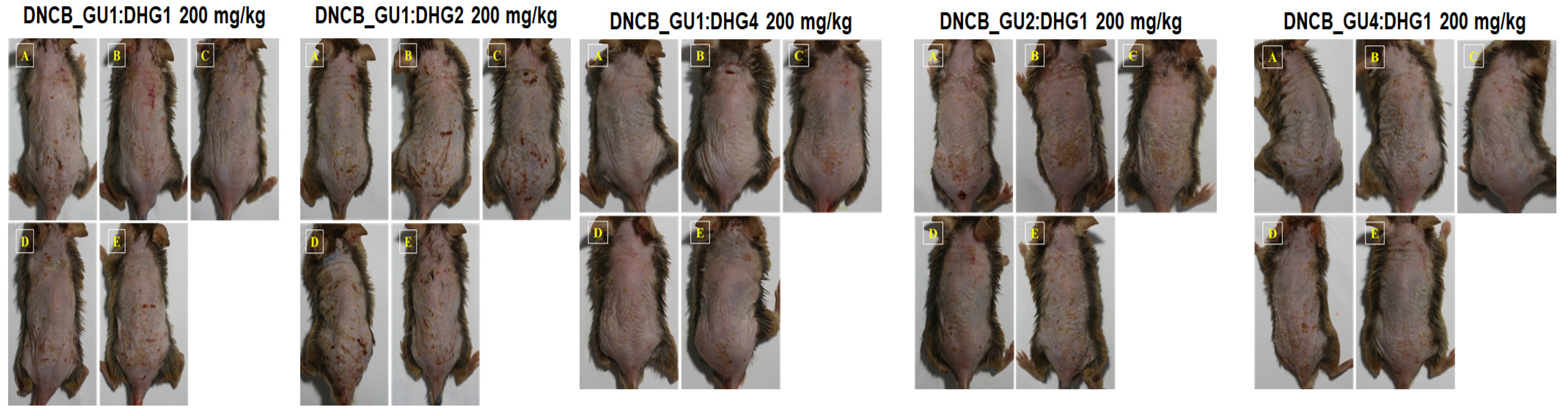 Nutrients 15 02094 g003b