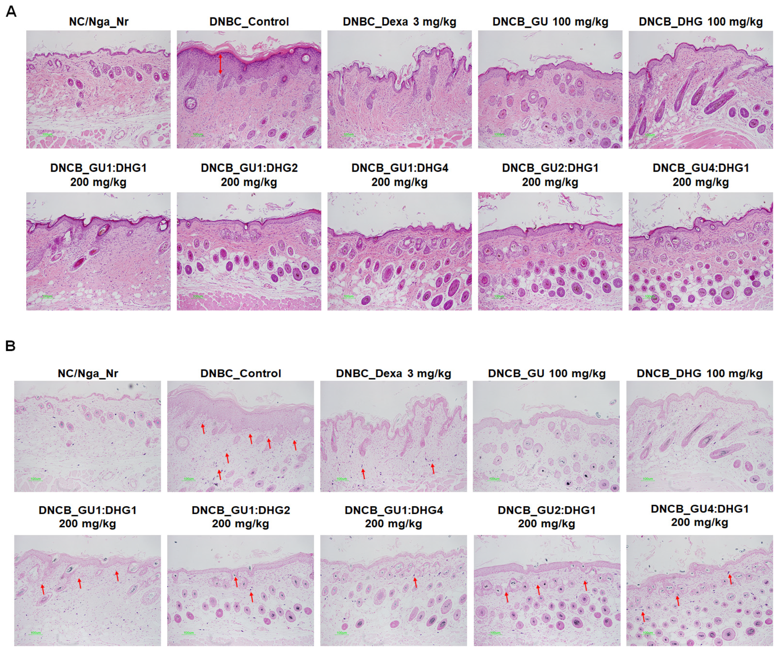 Nutrients 15 02094 g008