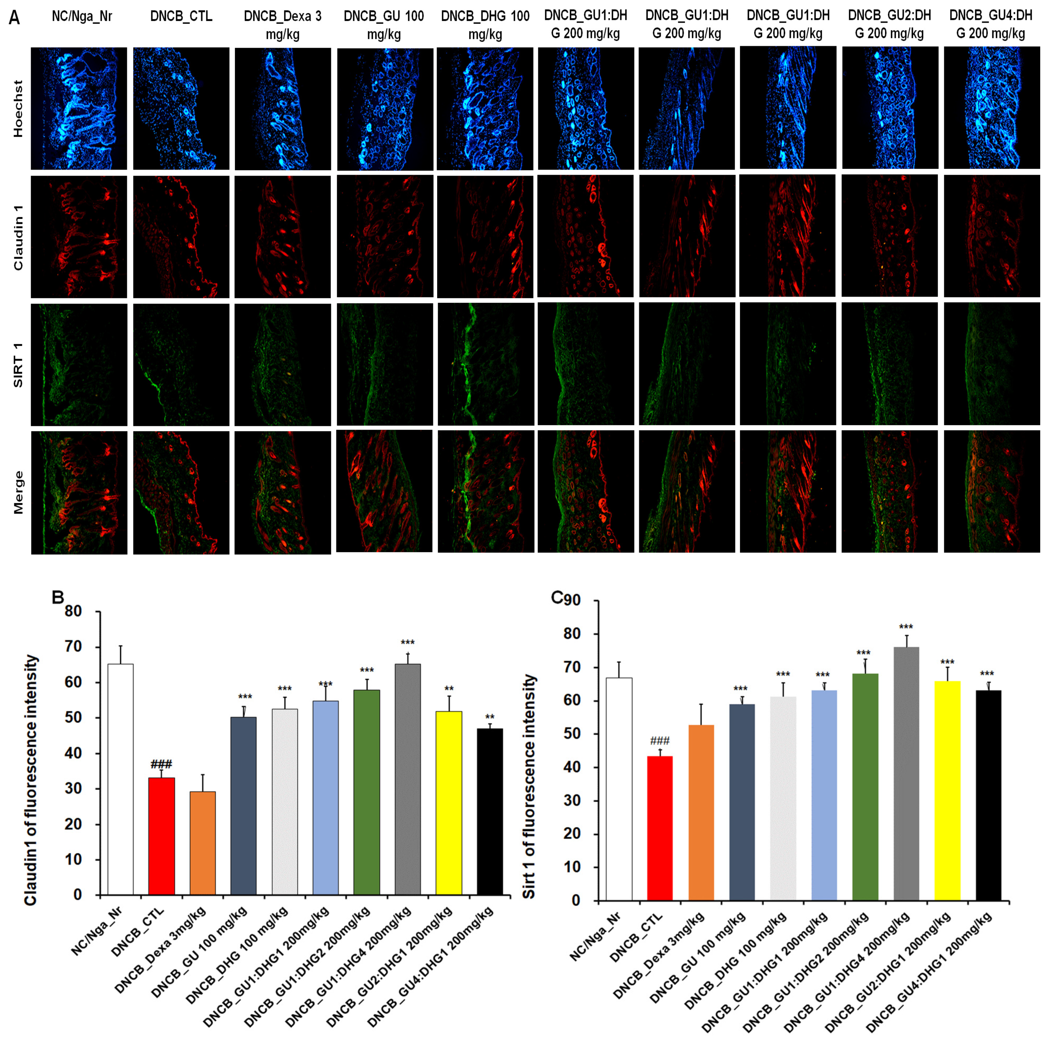 Nutrients 15 02094 g009