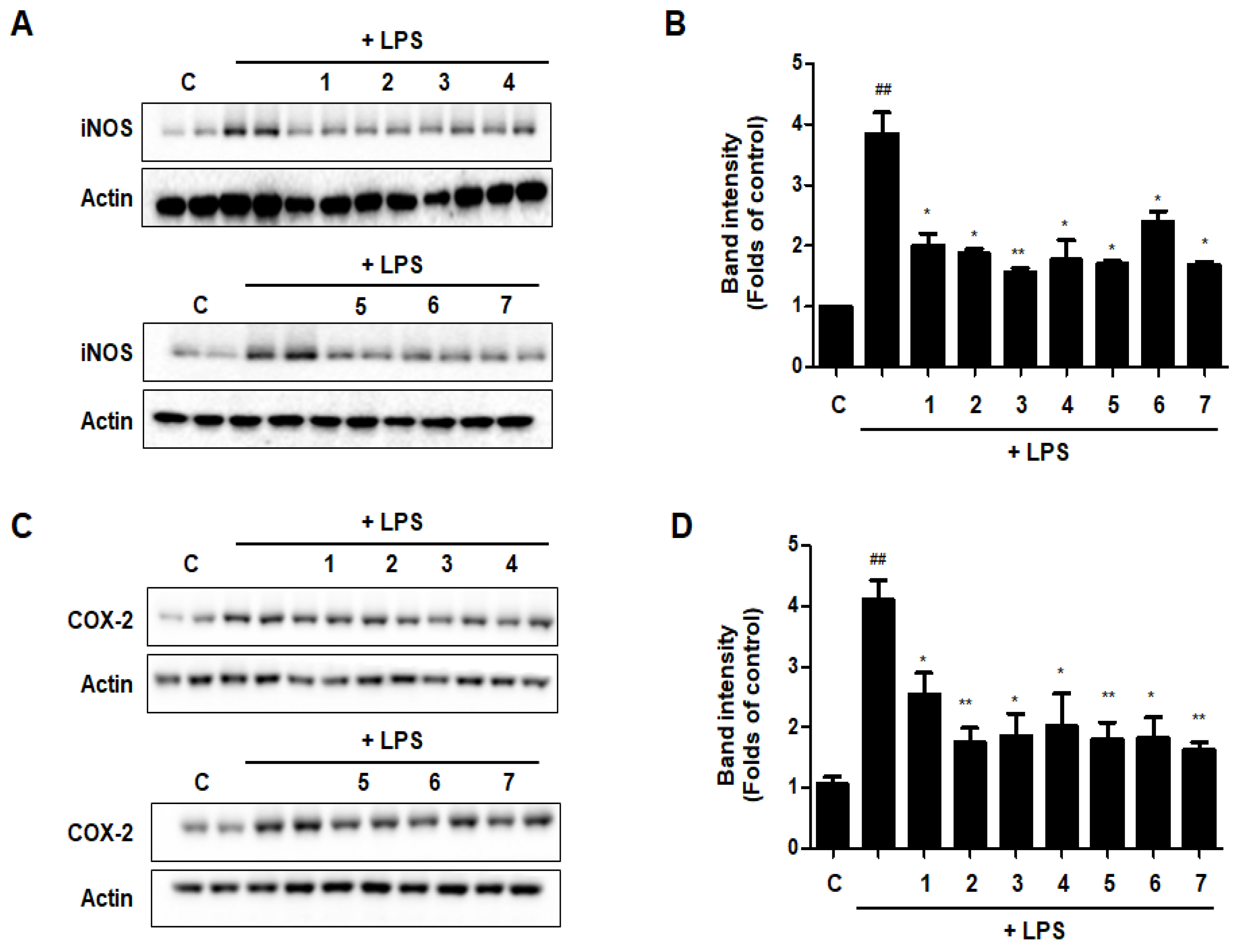 Nutrients 15 02094 g012