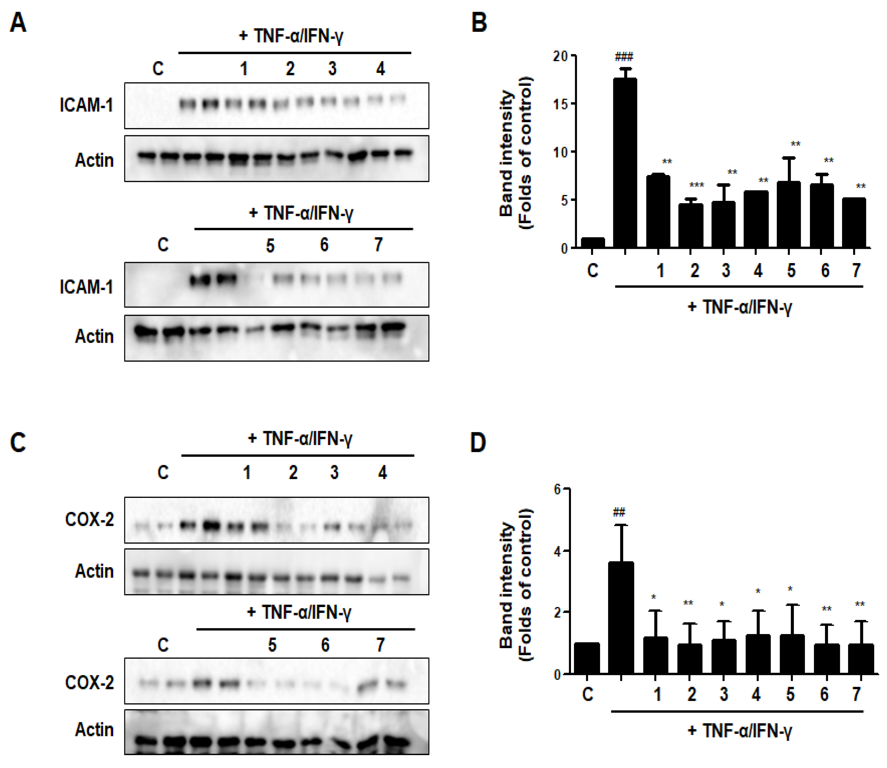 Nutrients 15 02094 g014
