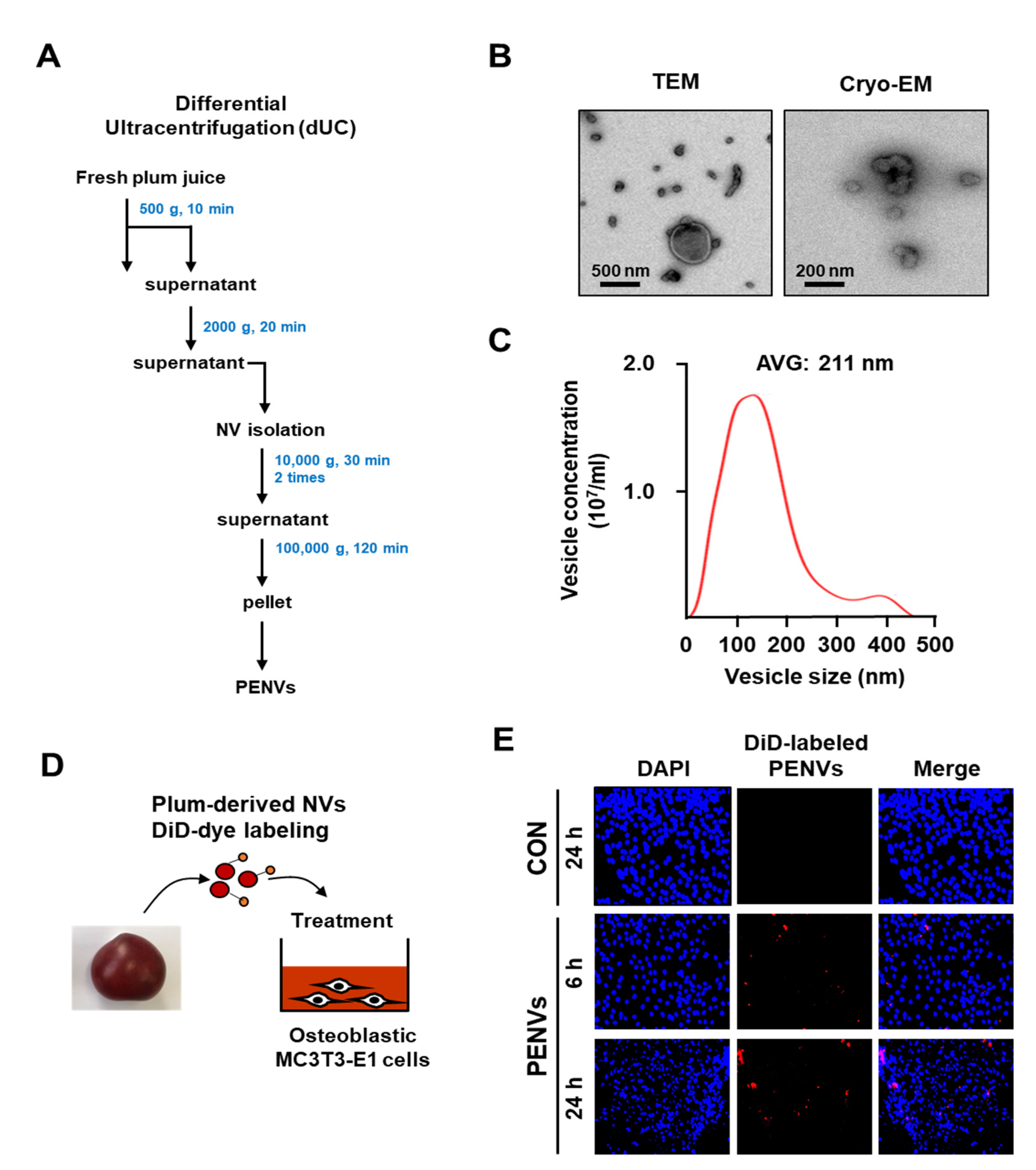 Nutrients 15 02107 g001