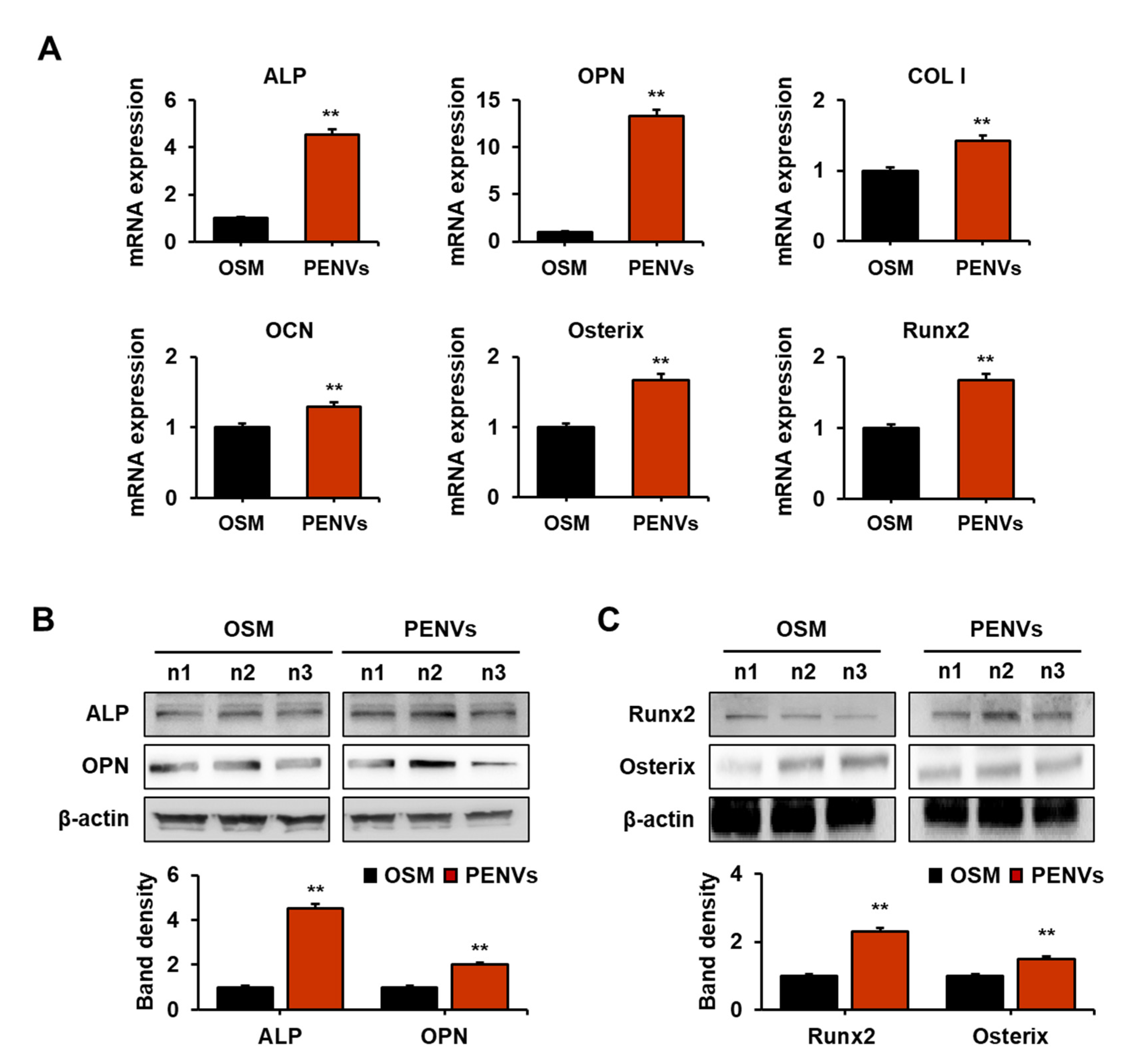 Nutrients 15 02107 g003