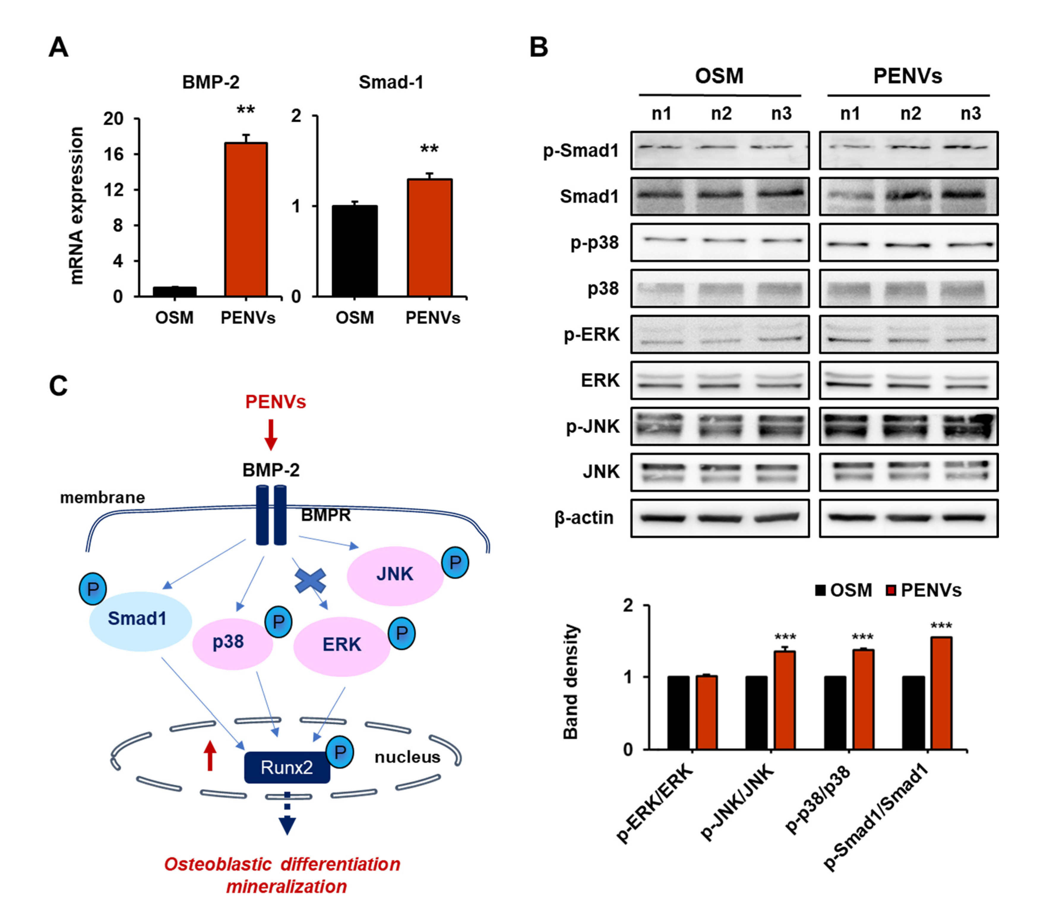 Nutrients 15 02107 g004