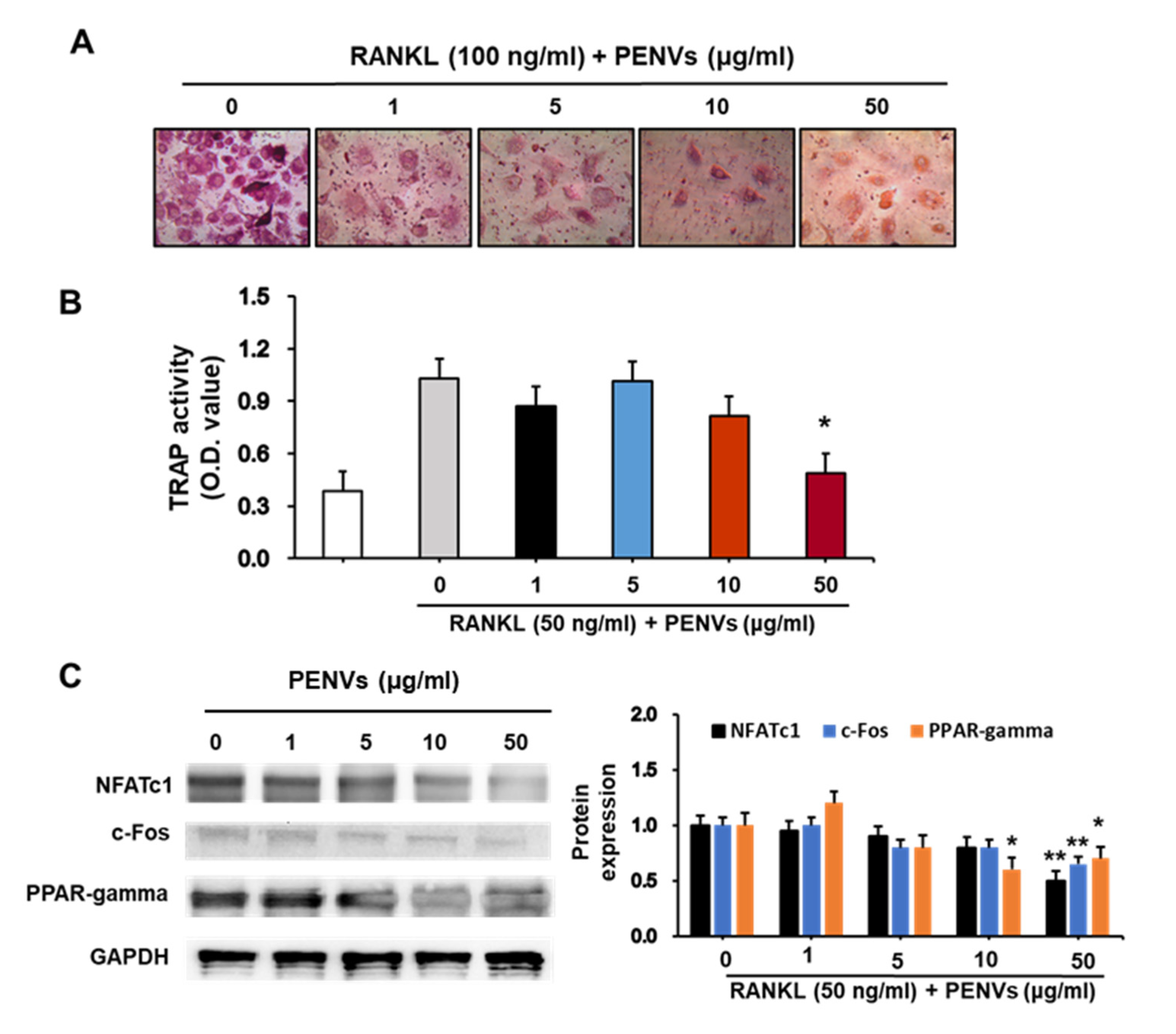 Nutrients 15 02107 g006