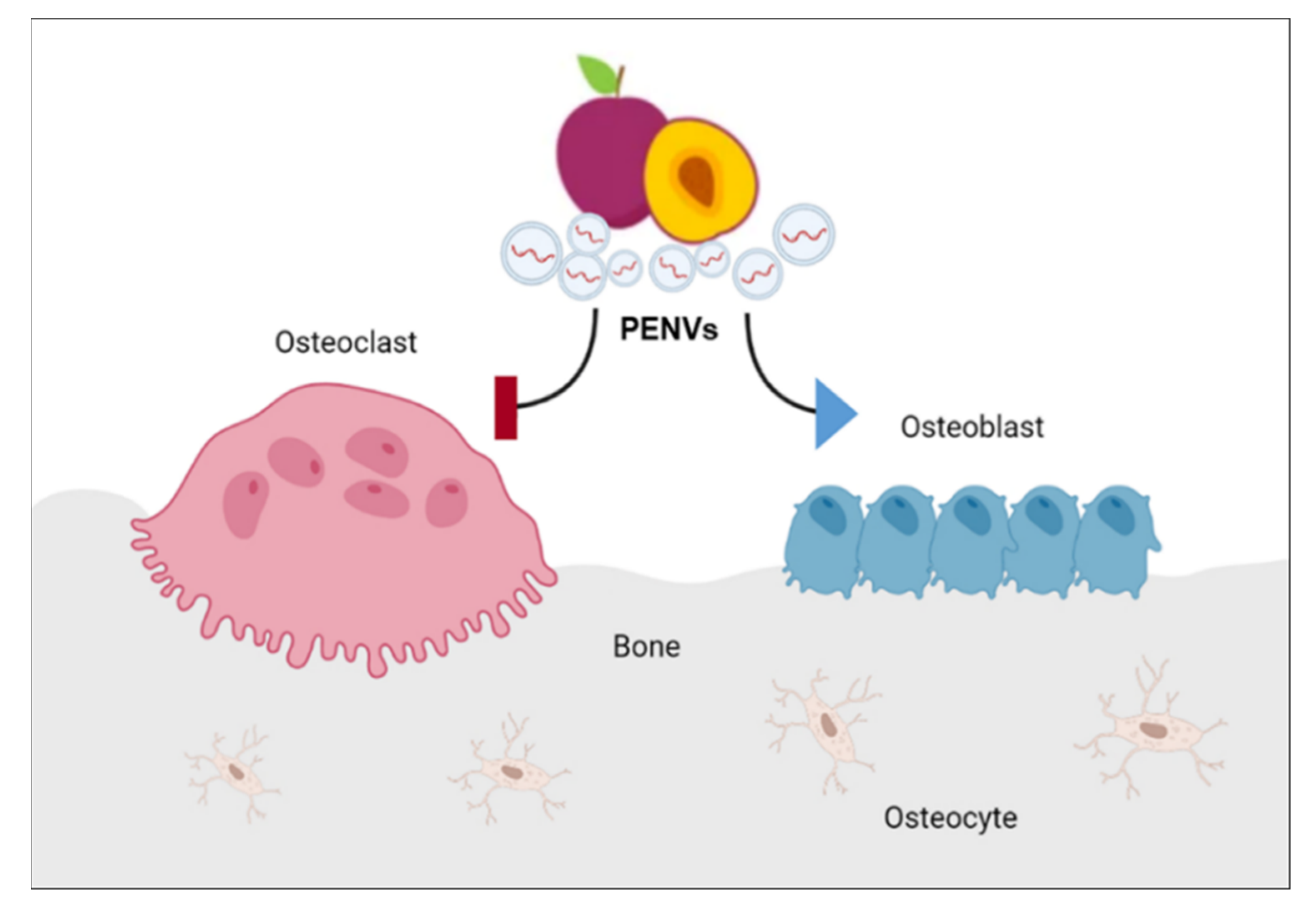 Nutrients 15 02107 g007