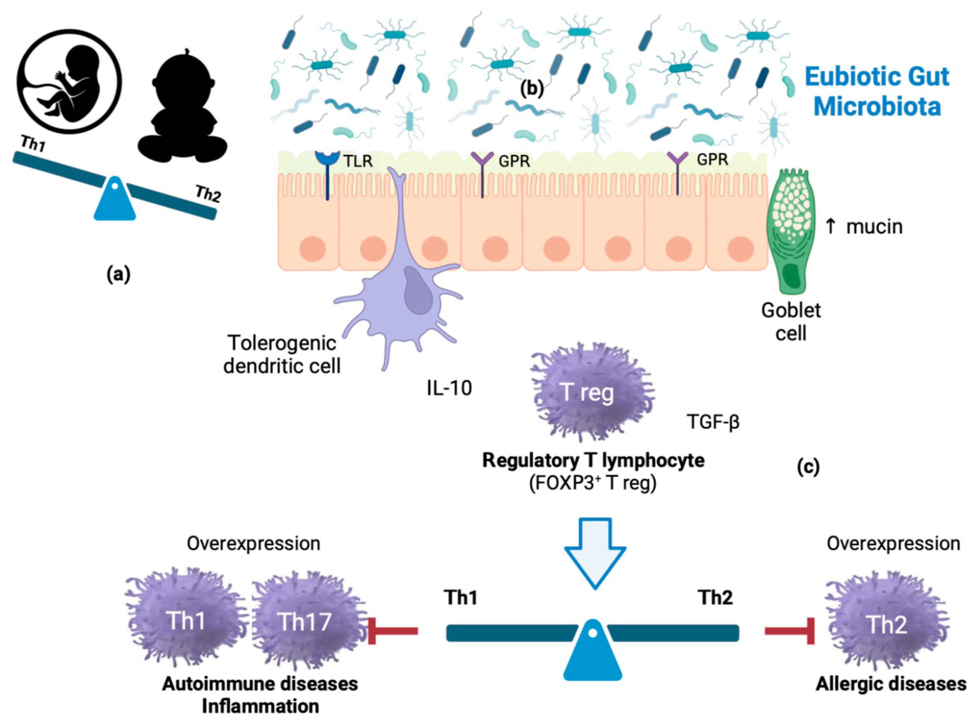 Nutrients 15 02114 g001