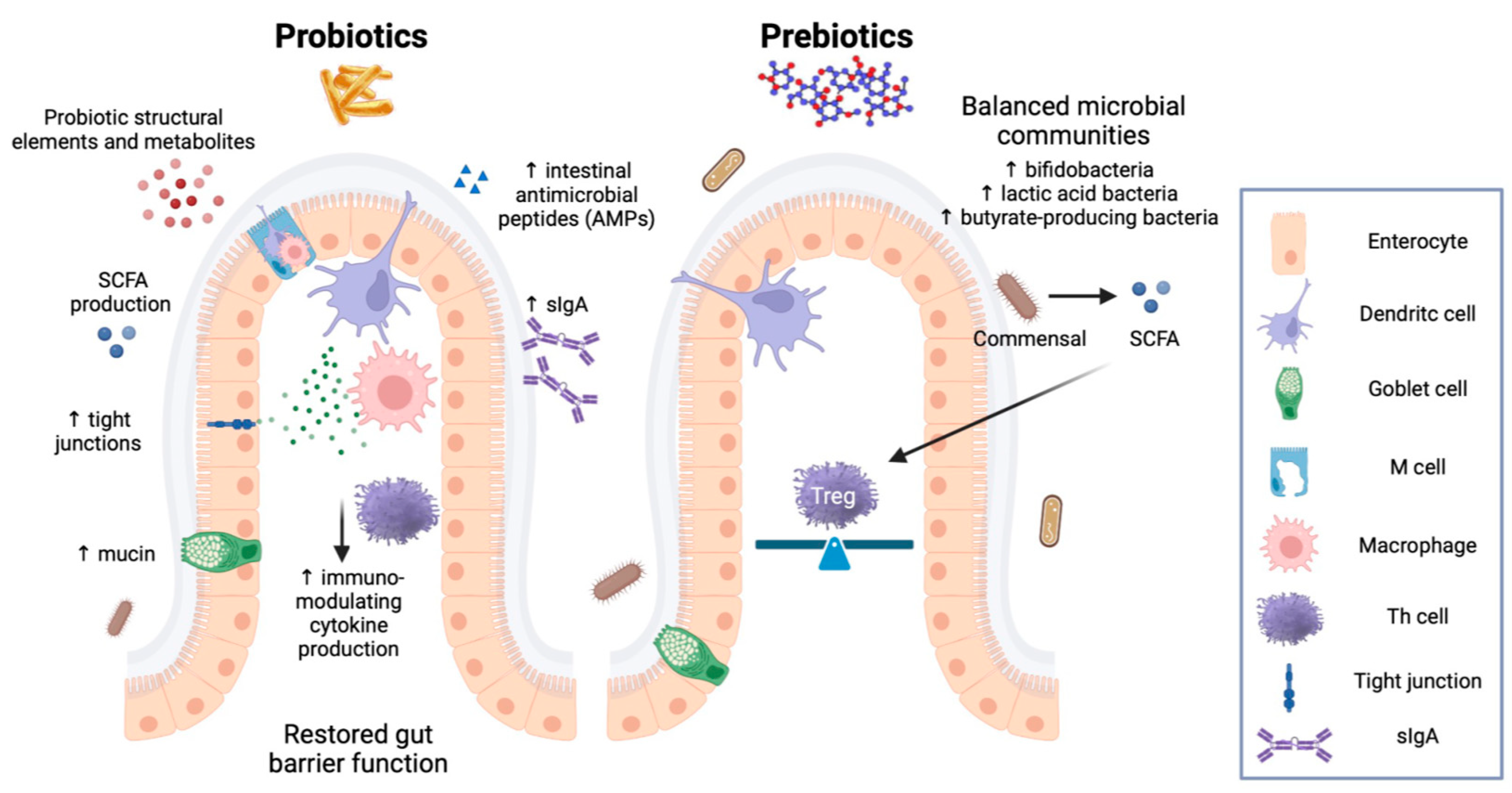 Nutrients 15 02114 g002