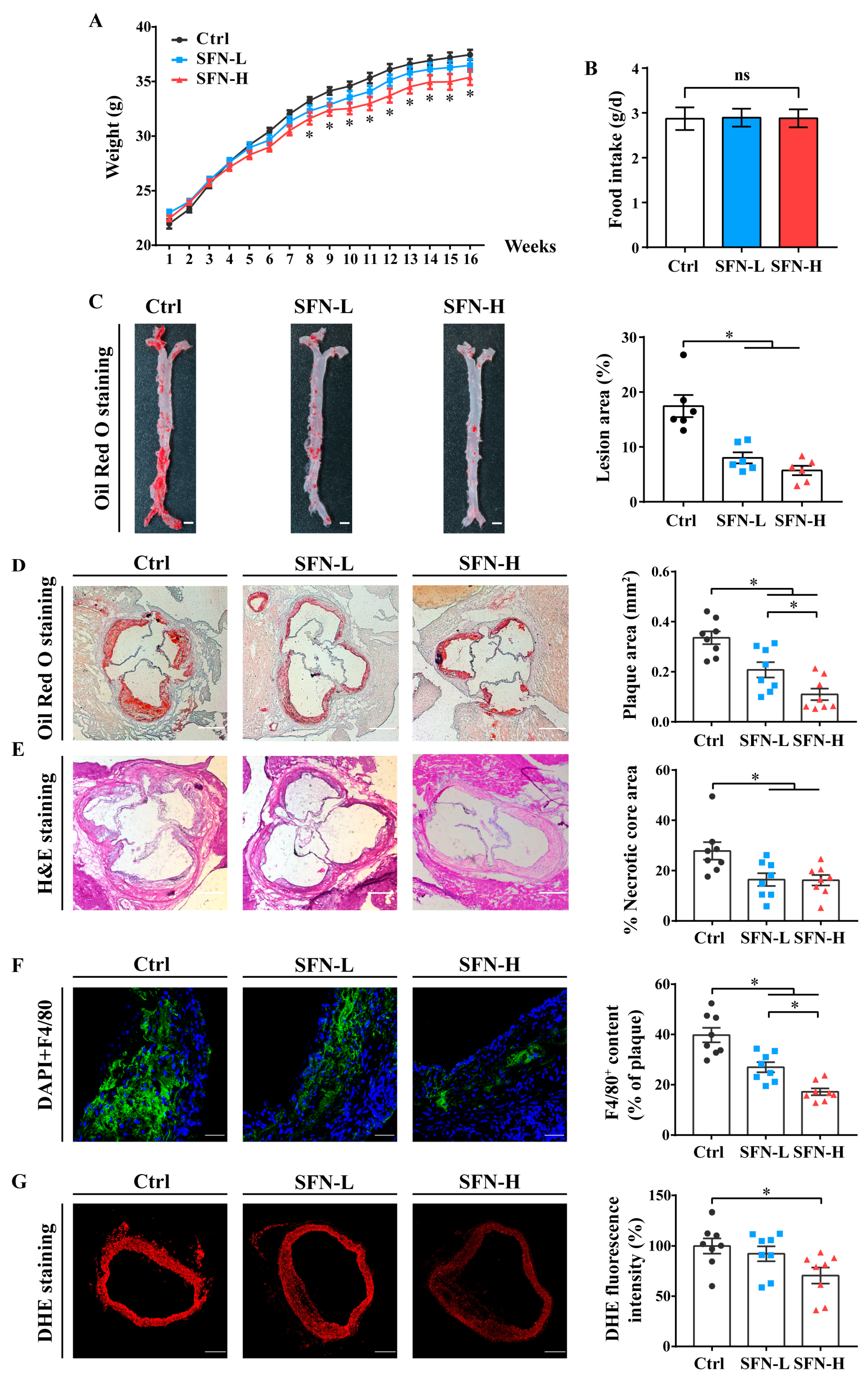 Nutrients 15 02117 g001