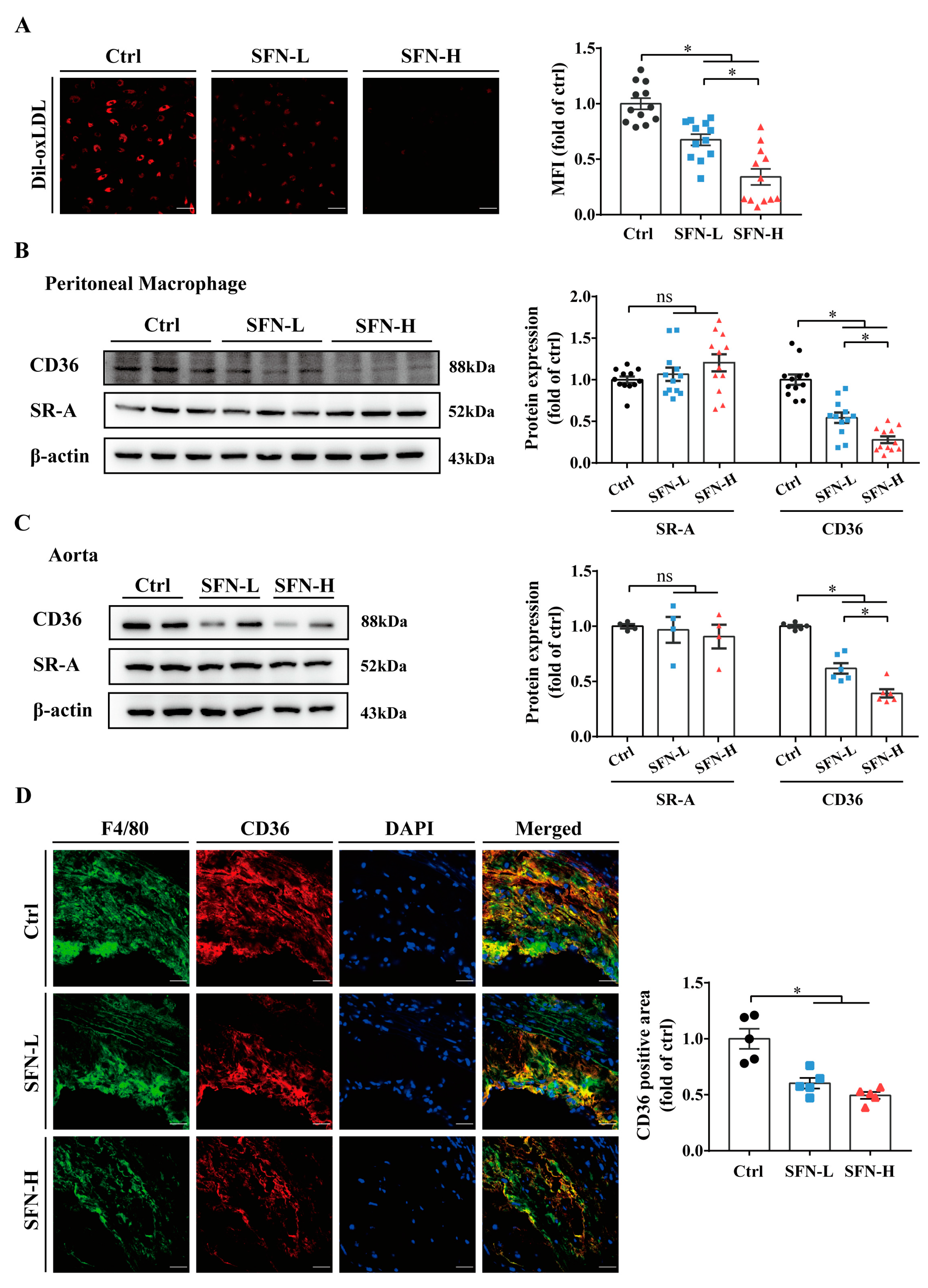 Nutrients 15 02117 g003