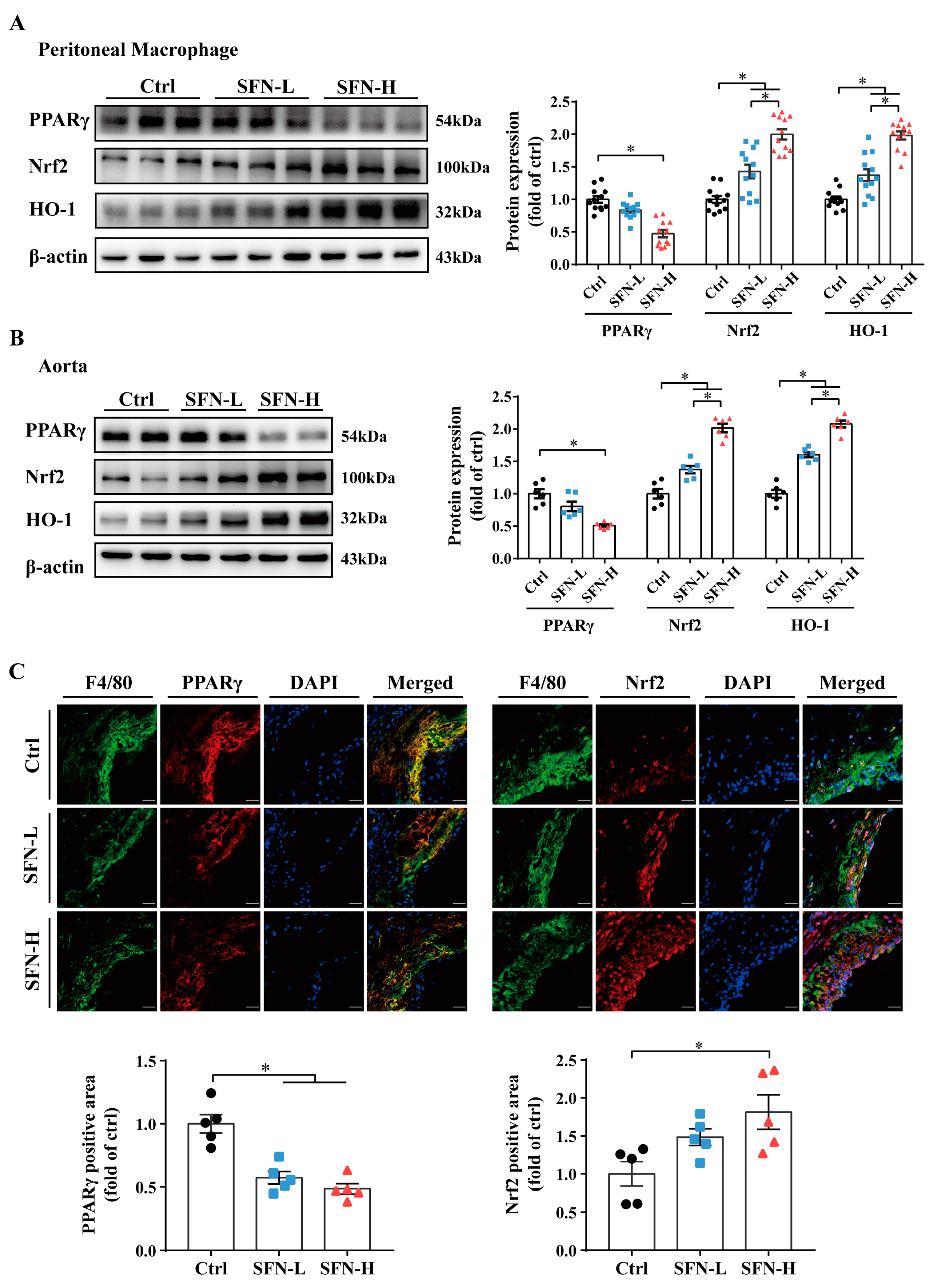 Nutrients 15 02117 g005